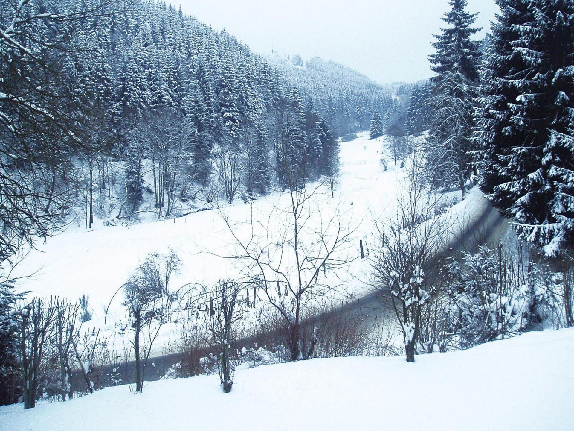 Appartement in Winterberg: op 100 m van de golfbaan en nabij de piste - foto 22