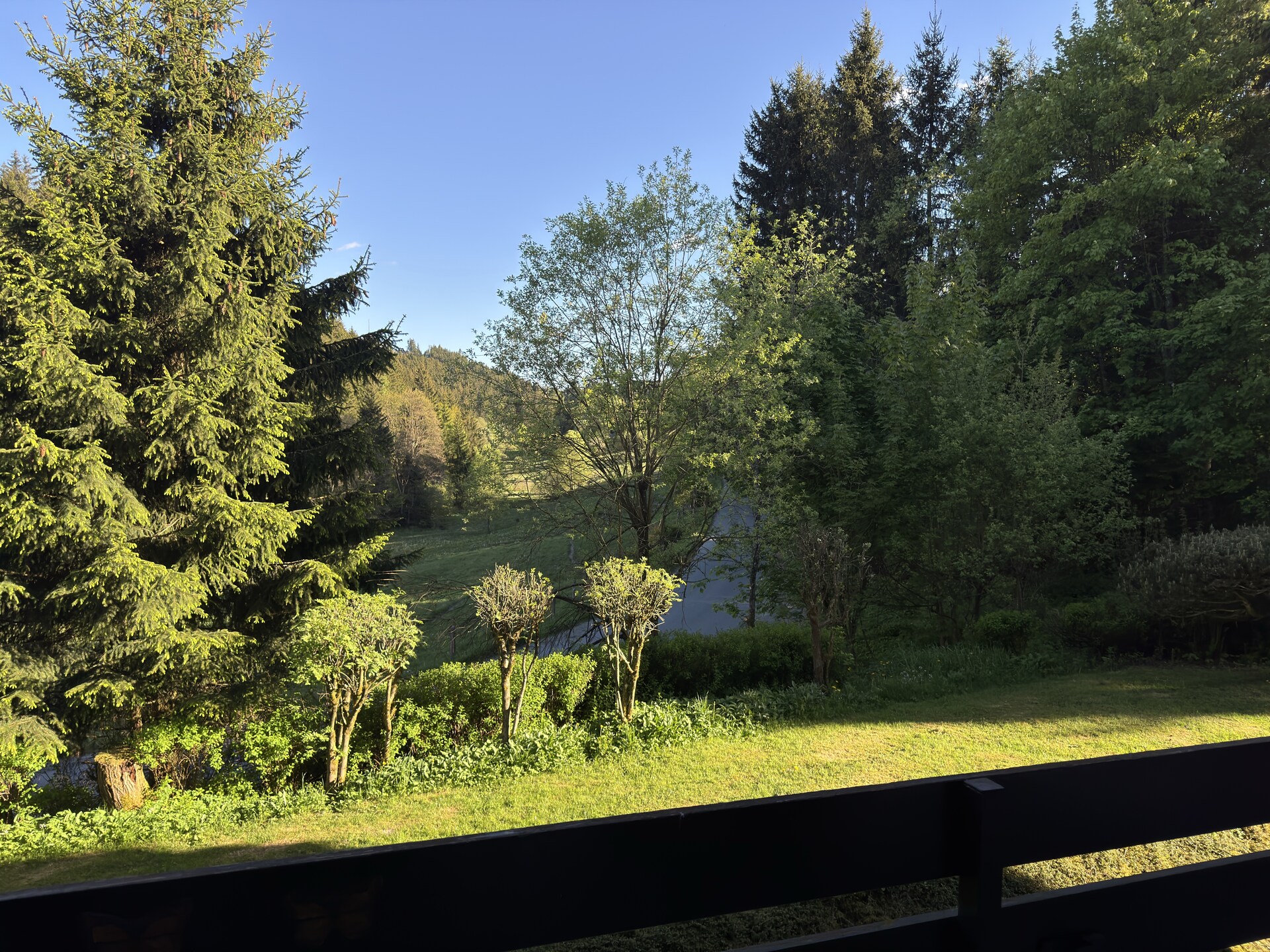Appartement in Winterberg: op 100 m van de golfbaan en nabij de piste - foto 26