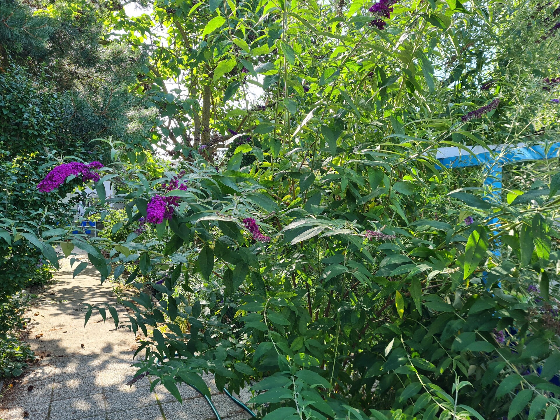 Bungalow Gartenidyll: Rustige plek in Berlijn Kaulsdorf - foto 29