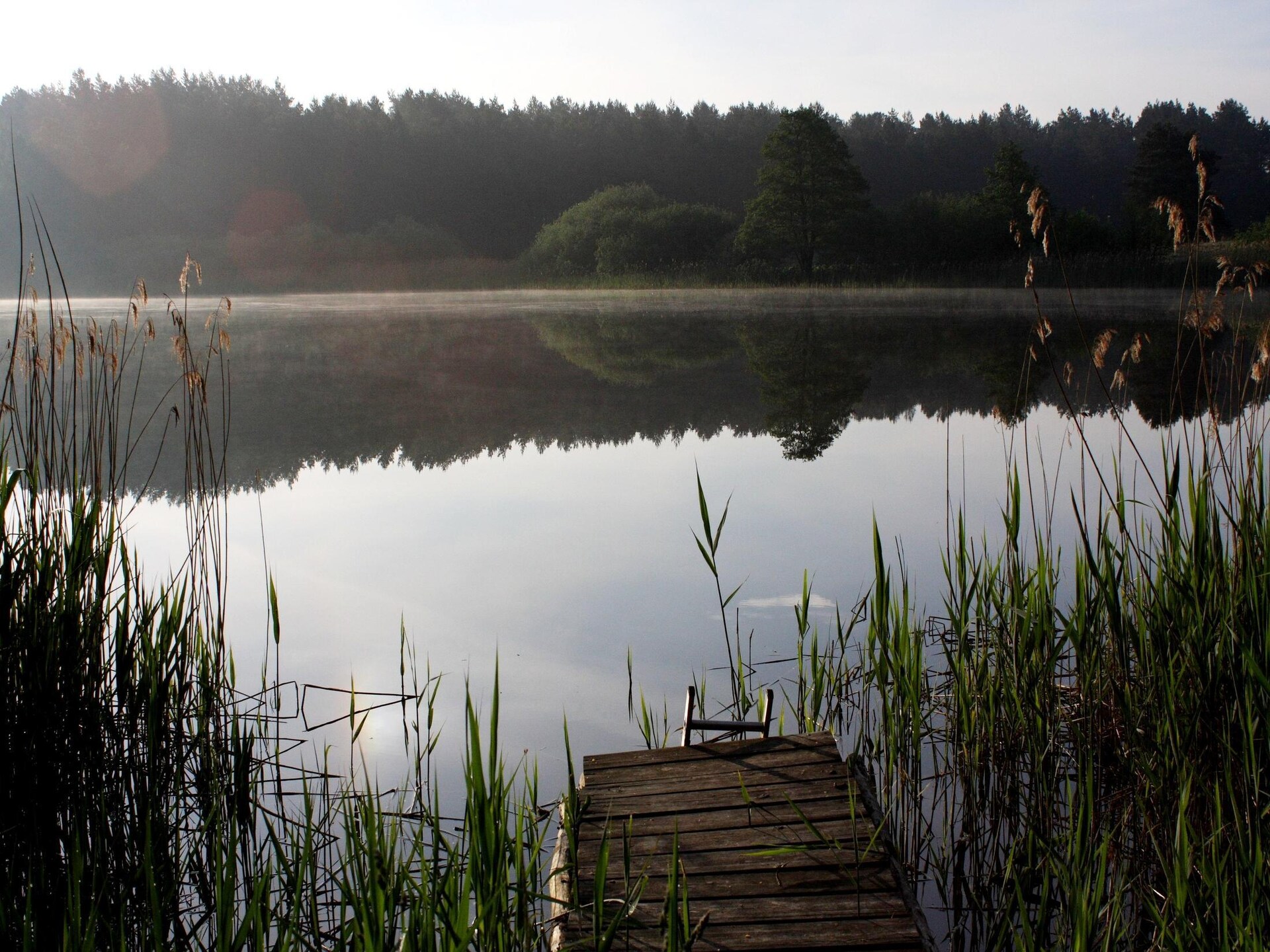 Licht vakantiehuis op schiereiland bij de Gardersee, 300m van het meer - foto 36