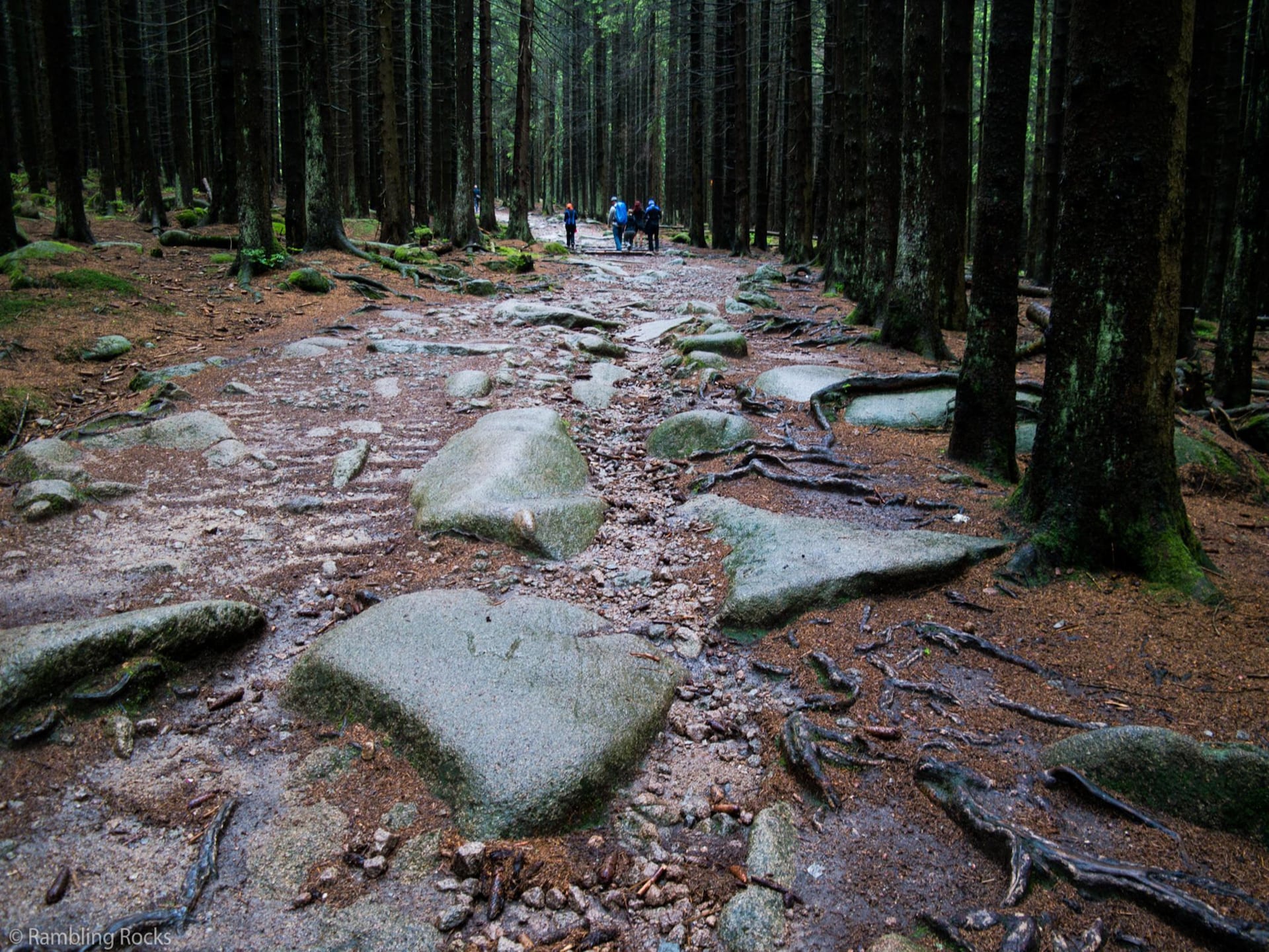 Op 1,3 km van de piste: Rustiek vakantiehuis in Schierke - foto 19