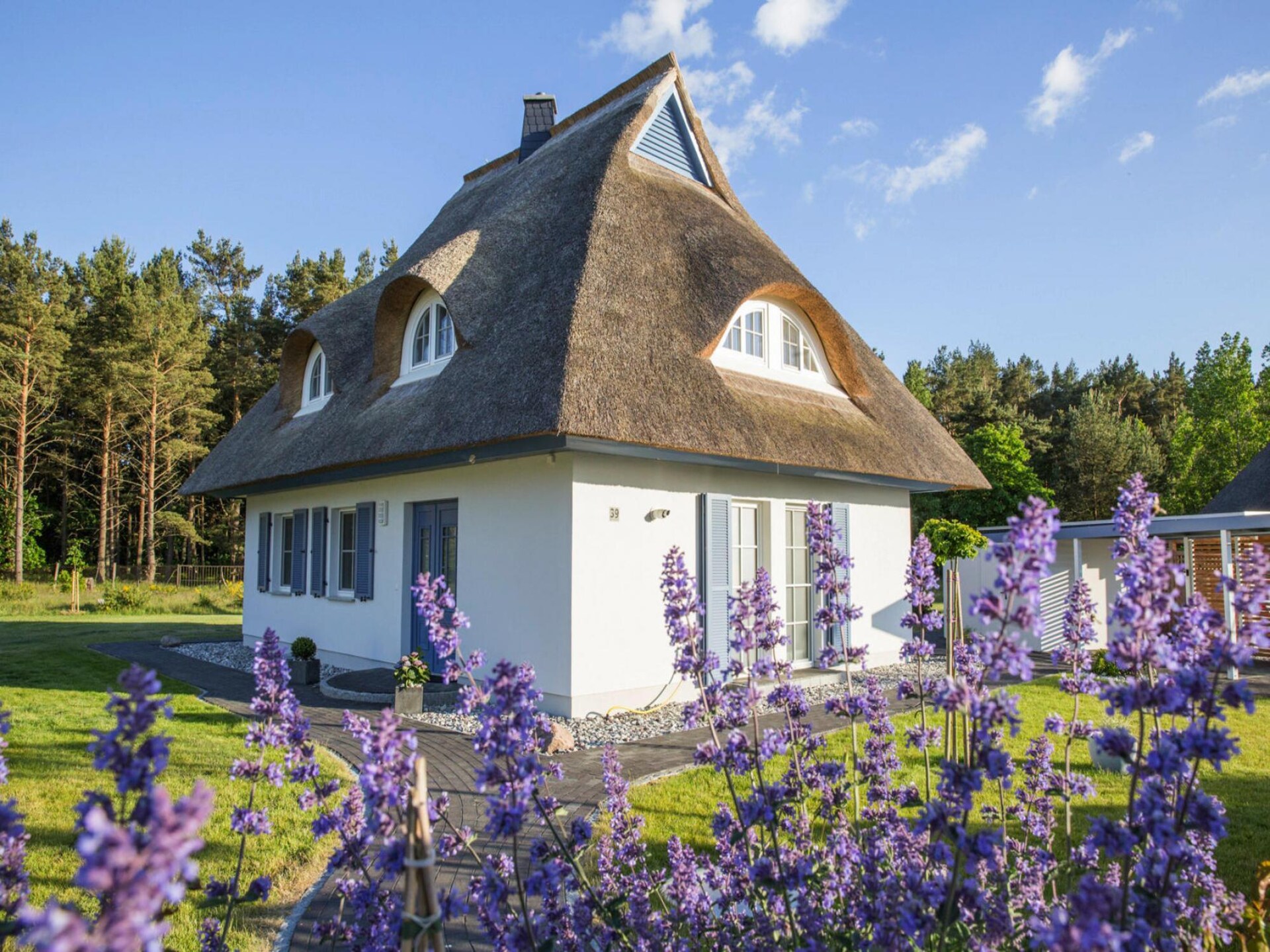 Rietgedekt vakantiehuis aan de lagune met sauna, 100 meter van het water - foto 8