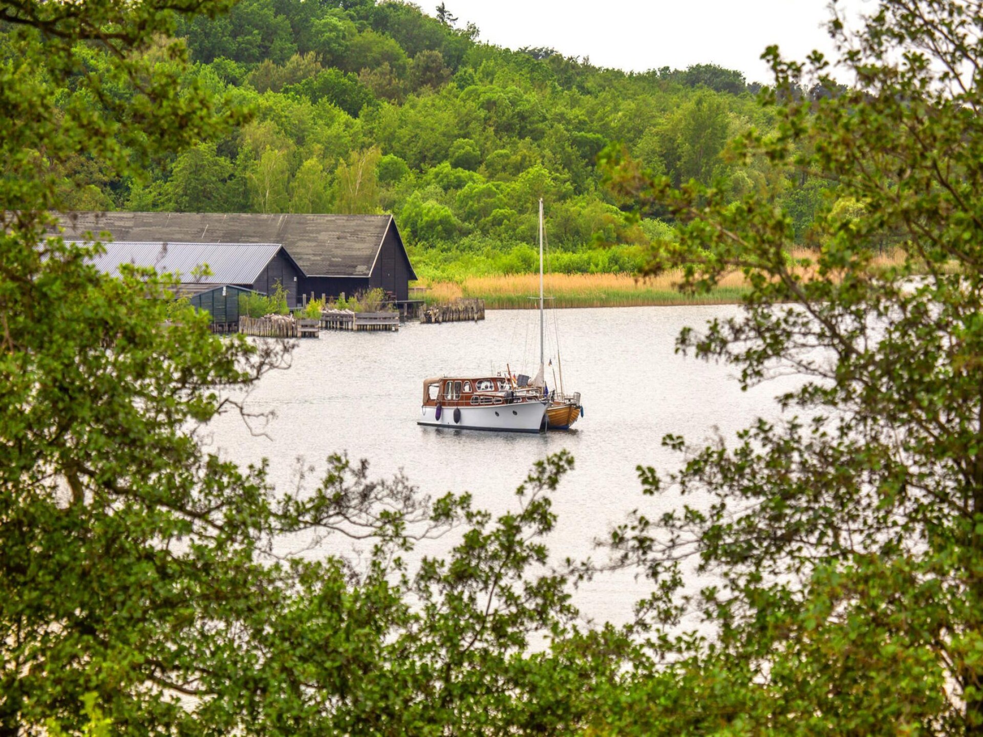 Appartement aan het water in Yachthafen Resort – Müritz op 50 meter - foto 30