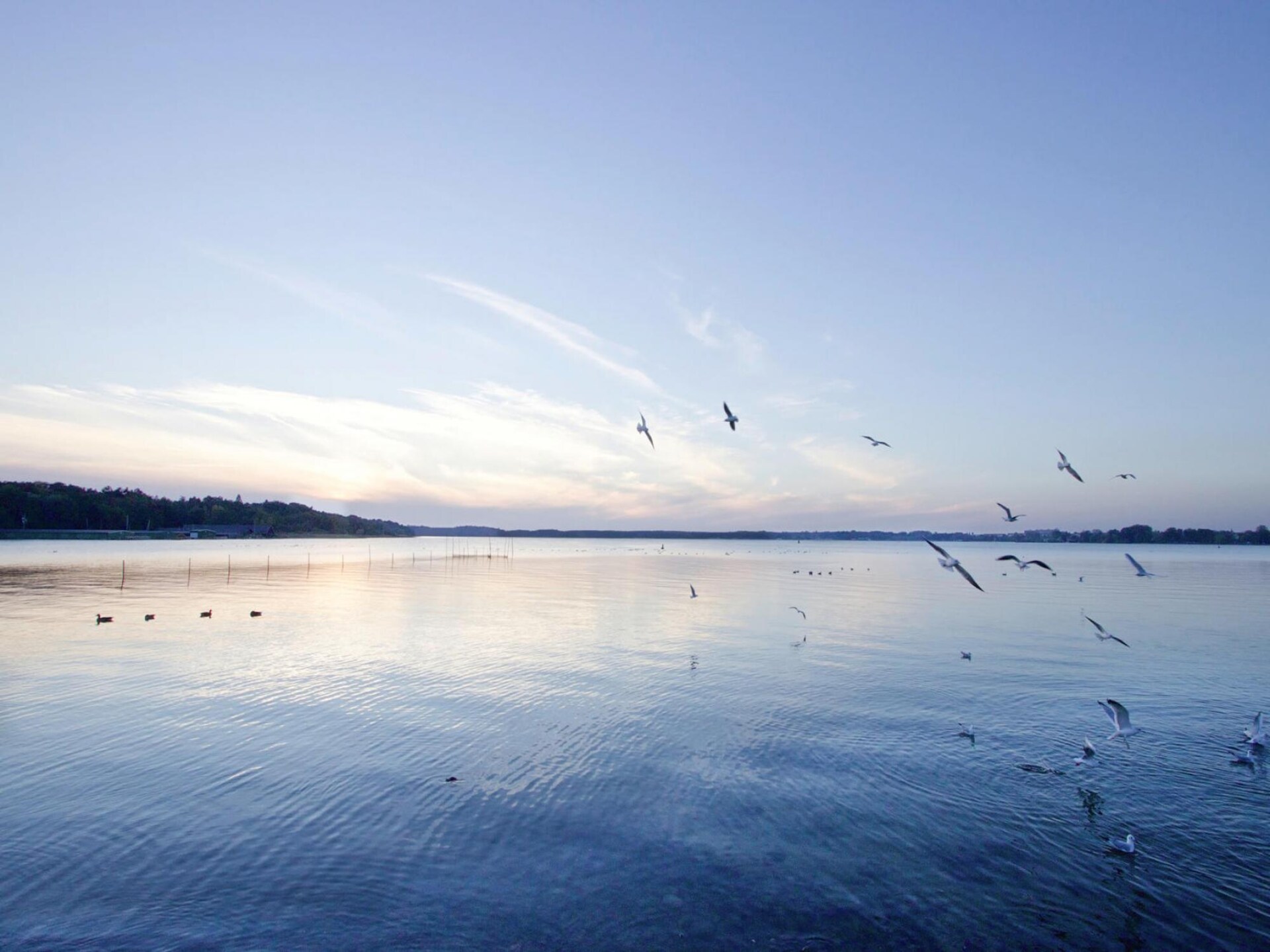 Appartement aan het water in Yachthafen Resort – Müritz op 50 meter - foto 32