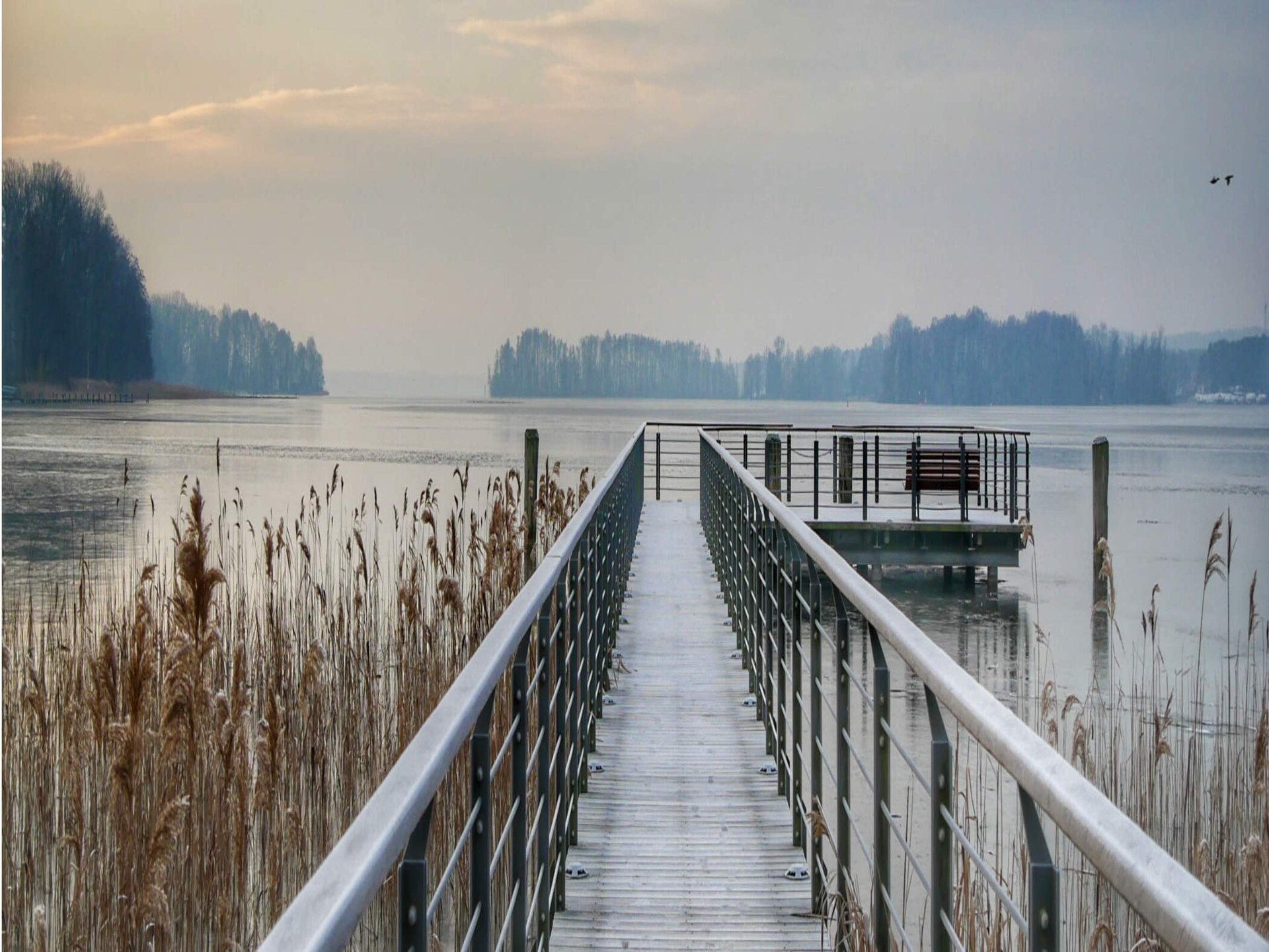 Stijlvol appartement voor 6 aan de Scharmützelsee met golf & WiFi - foto 11