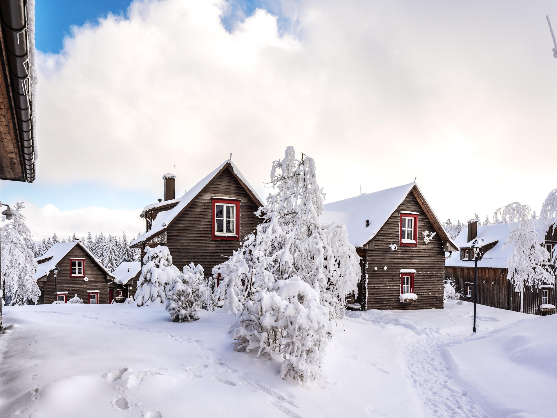 Exclusieve 6-persoons lodge met sauna en uitzicht op de Brocken - foto 37