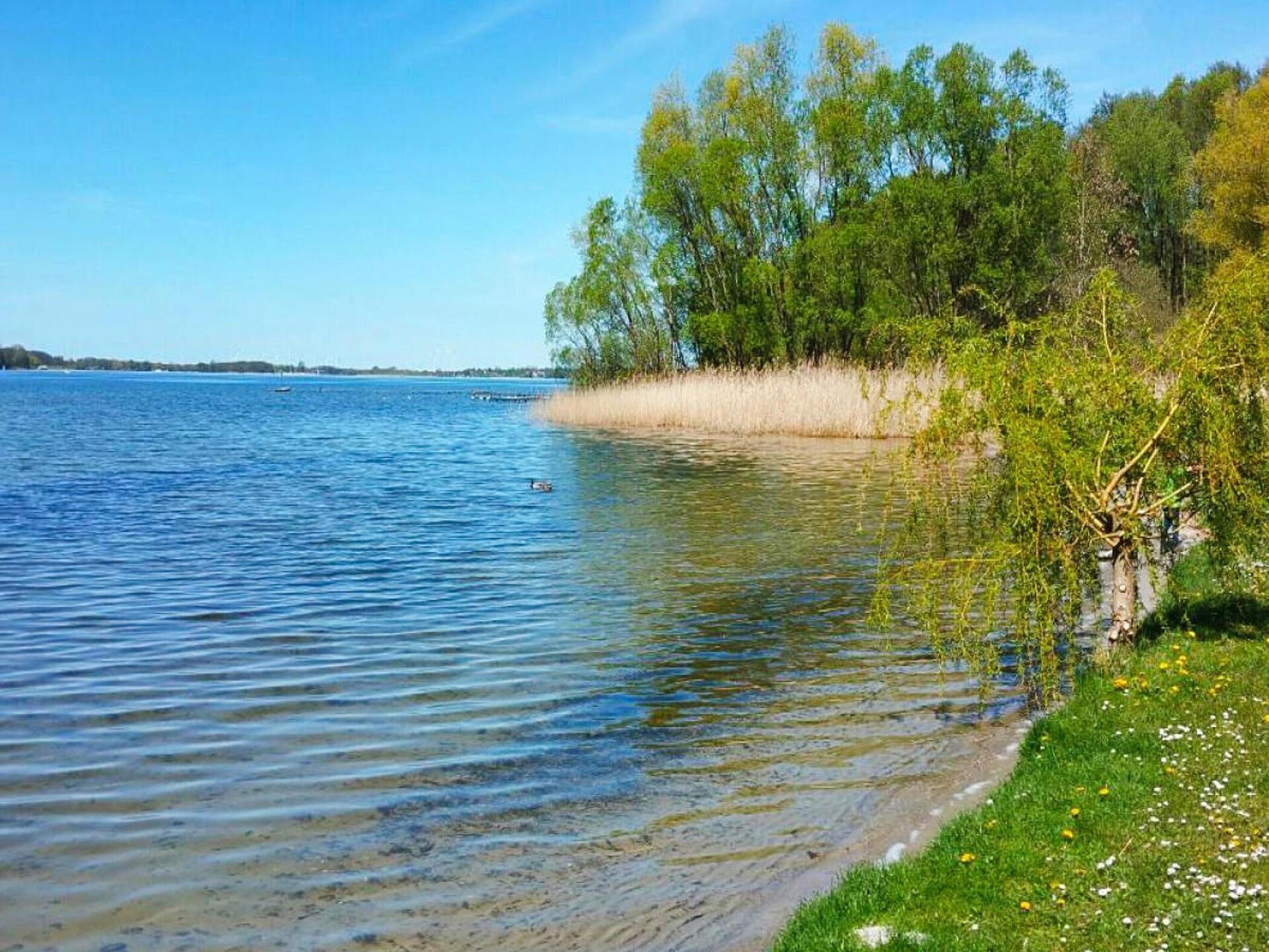 Knus appartement voor 2 aan de Plauer See in Zislow - foto 13