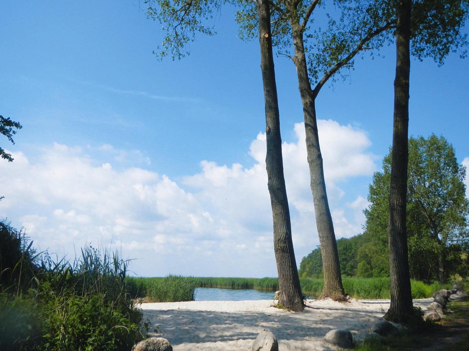 Vakantiehuis Lotosblume in Zirchow: Rust en natuur op Usedom - foto 19