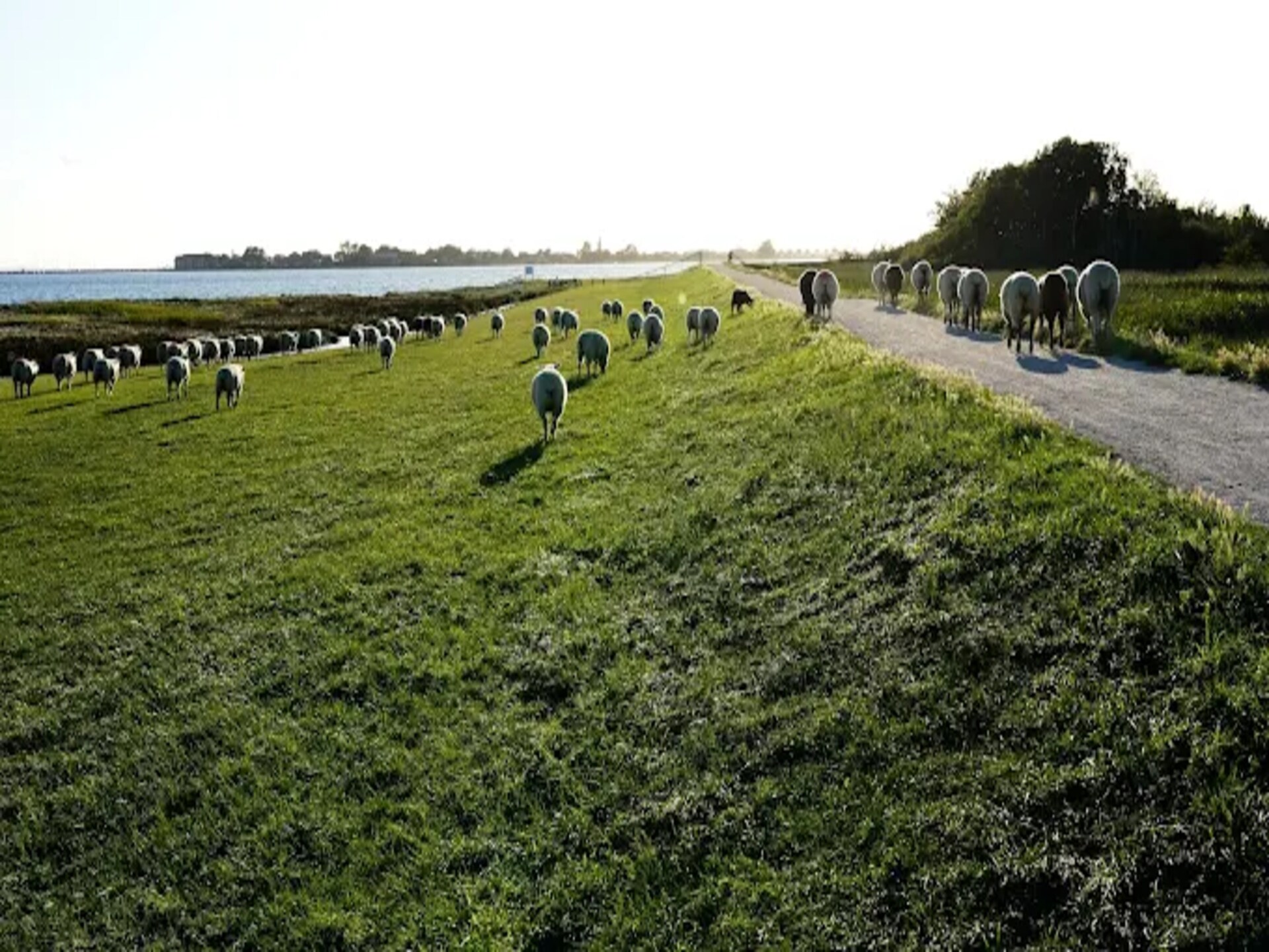 Stijlvol appartement voor 2 op Fehmarn, 600 meter van het strand - foto 36