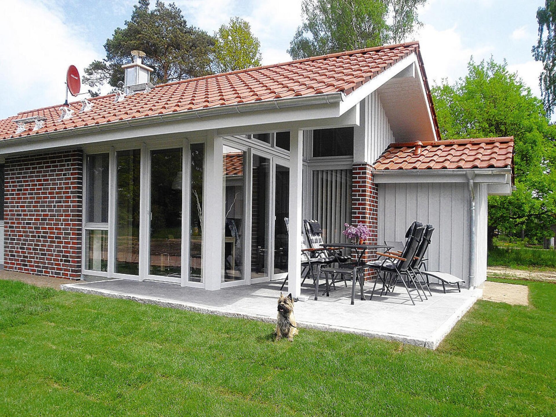 Vrijstaand huis met sauna, haard & roeiboot op 250m van de Müritz - foto 1
