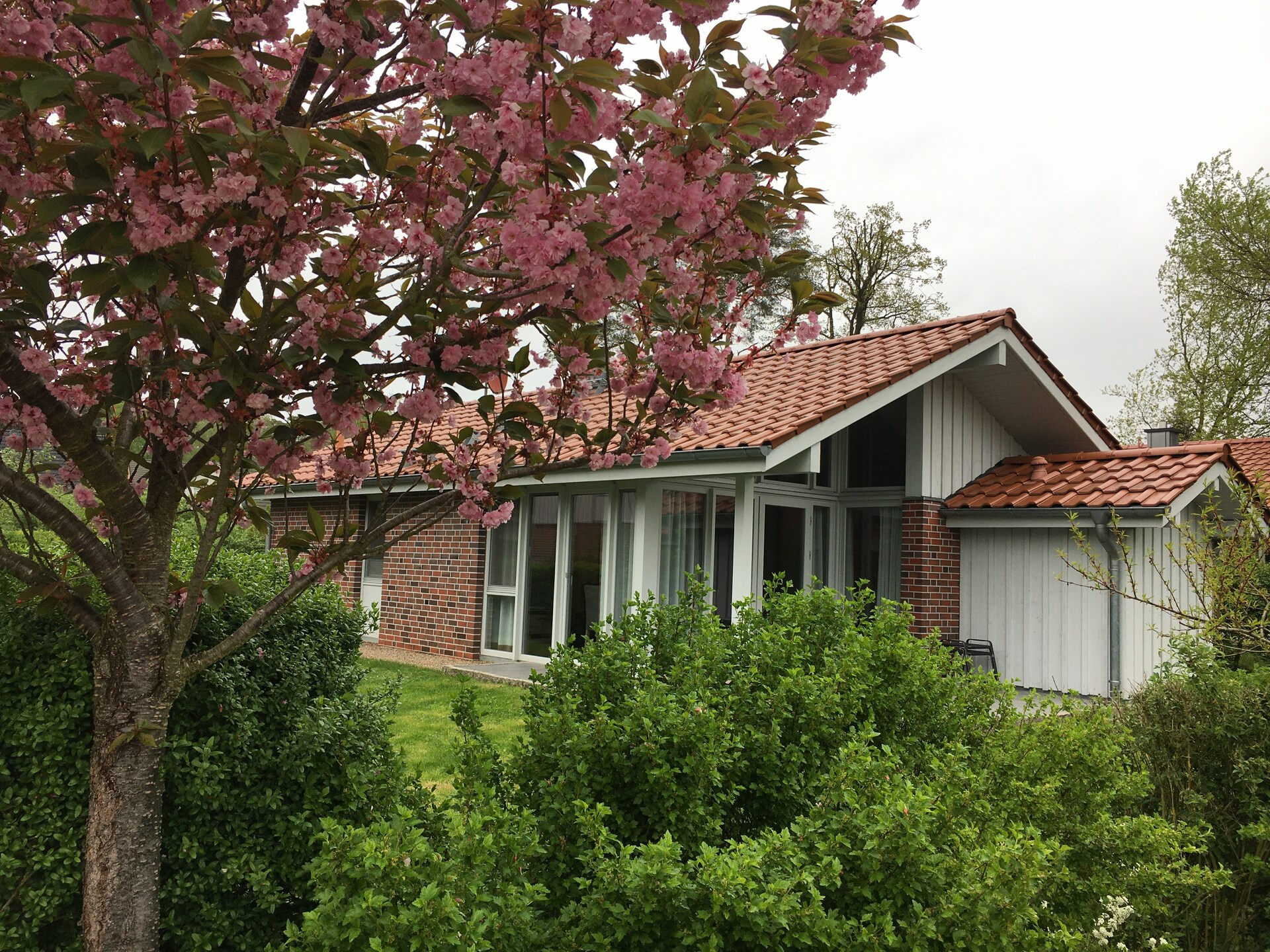 Vrijstaand huis met sauna, haard & roeiboot op 250m van de Müritz - foto 5