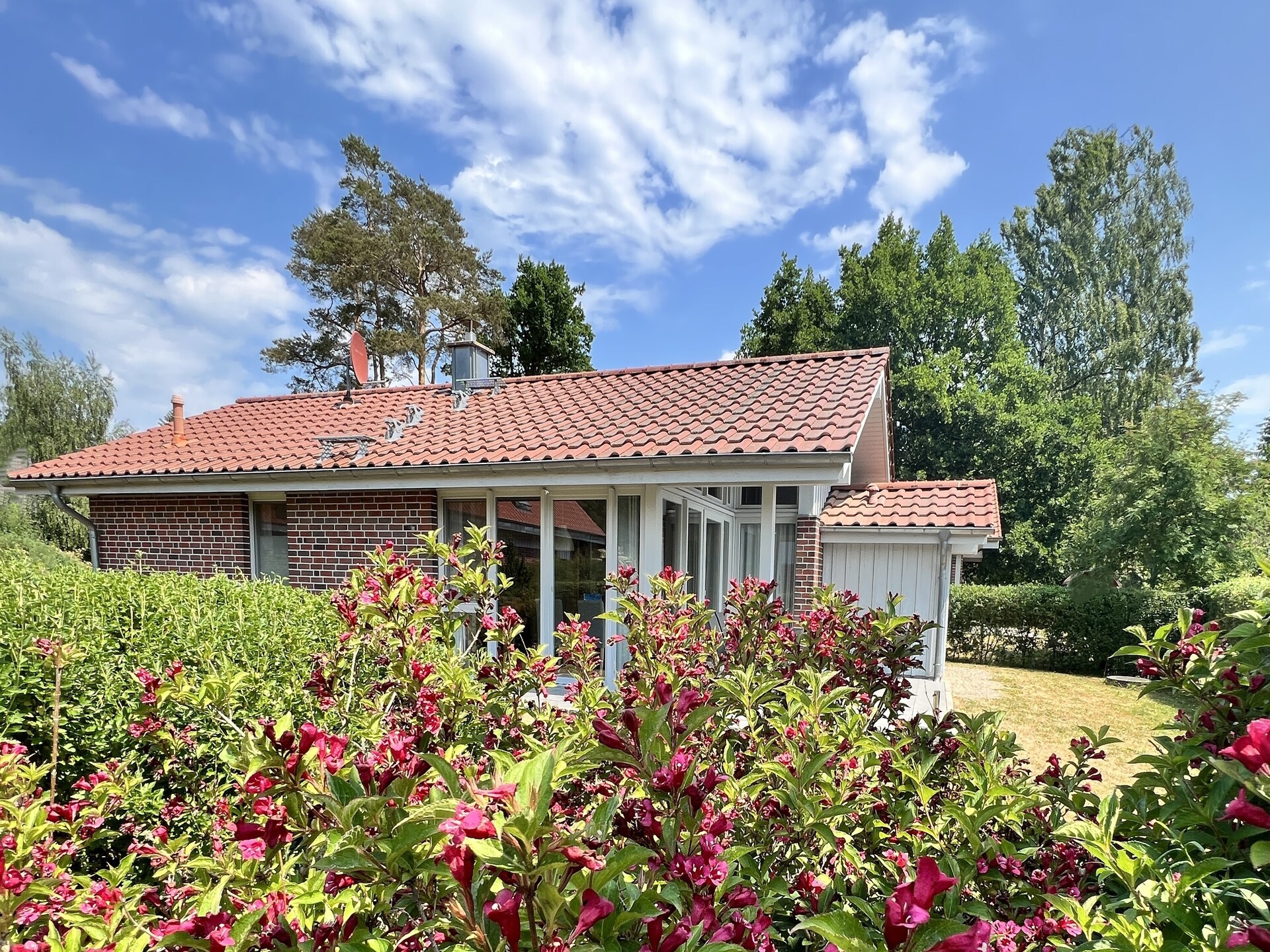 Vrijstaand huis met sauna, haard & roeiboot op 250m van de Müritz - foto 2