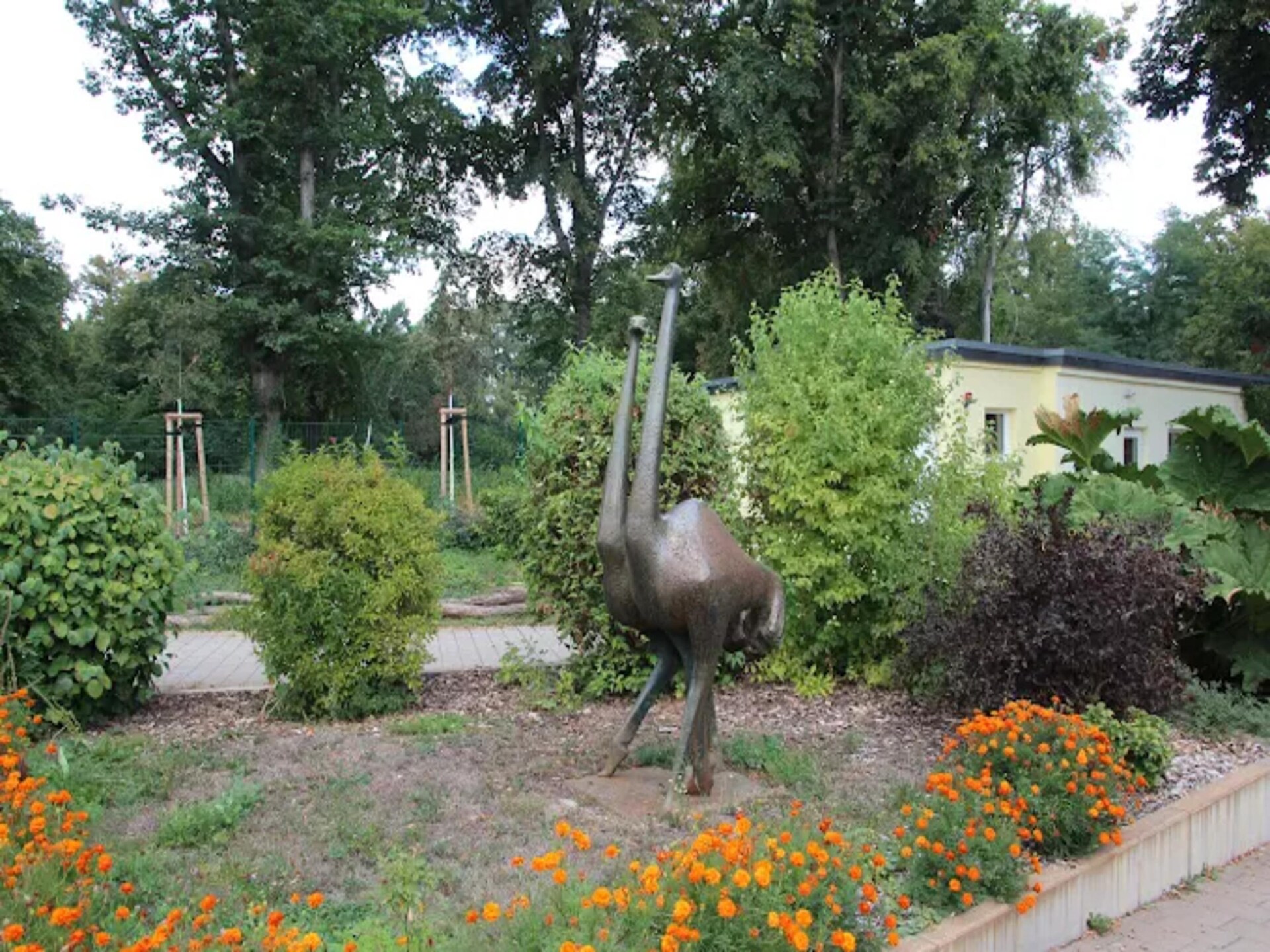 Vrijstaande bungalow aan de Senftenberger See met tuin, vlakbij het strand - foto 11