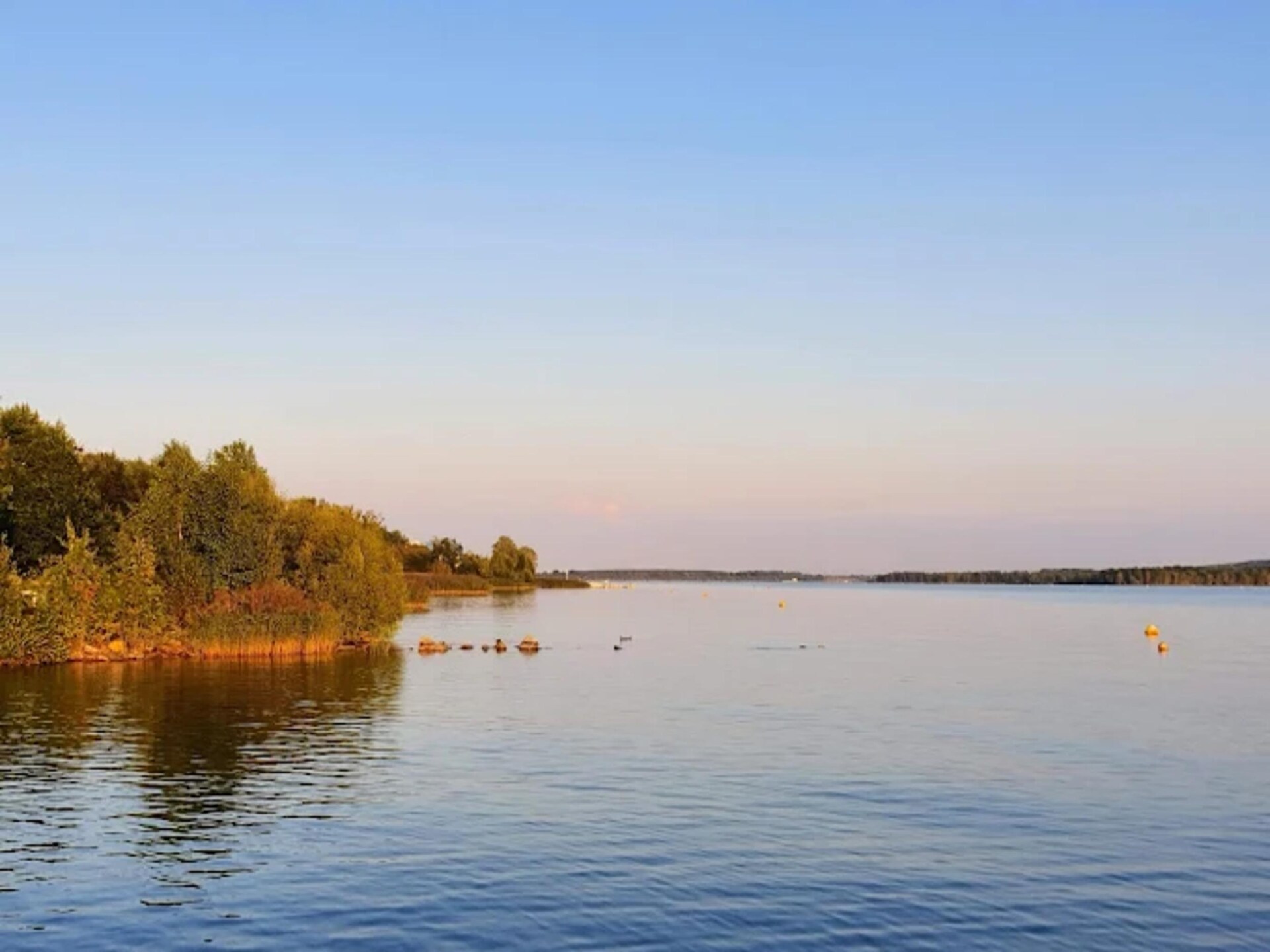 Vrijstaande bungalow aan de Senftenberger See met tuin, vlakbij het strand - foto 33