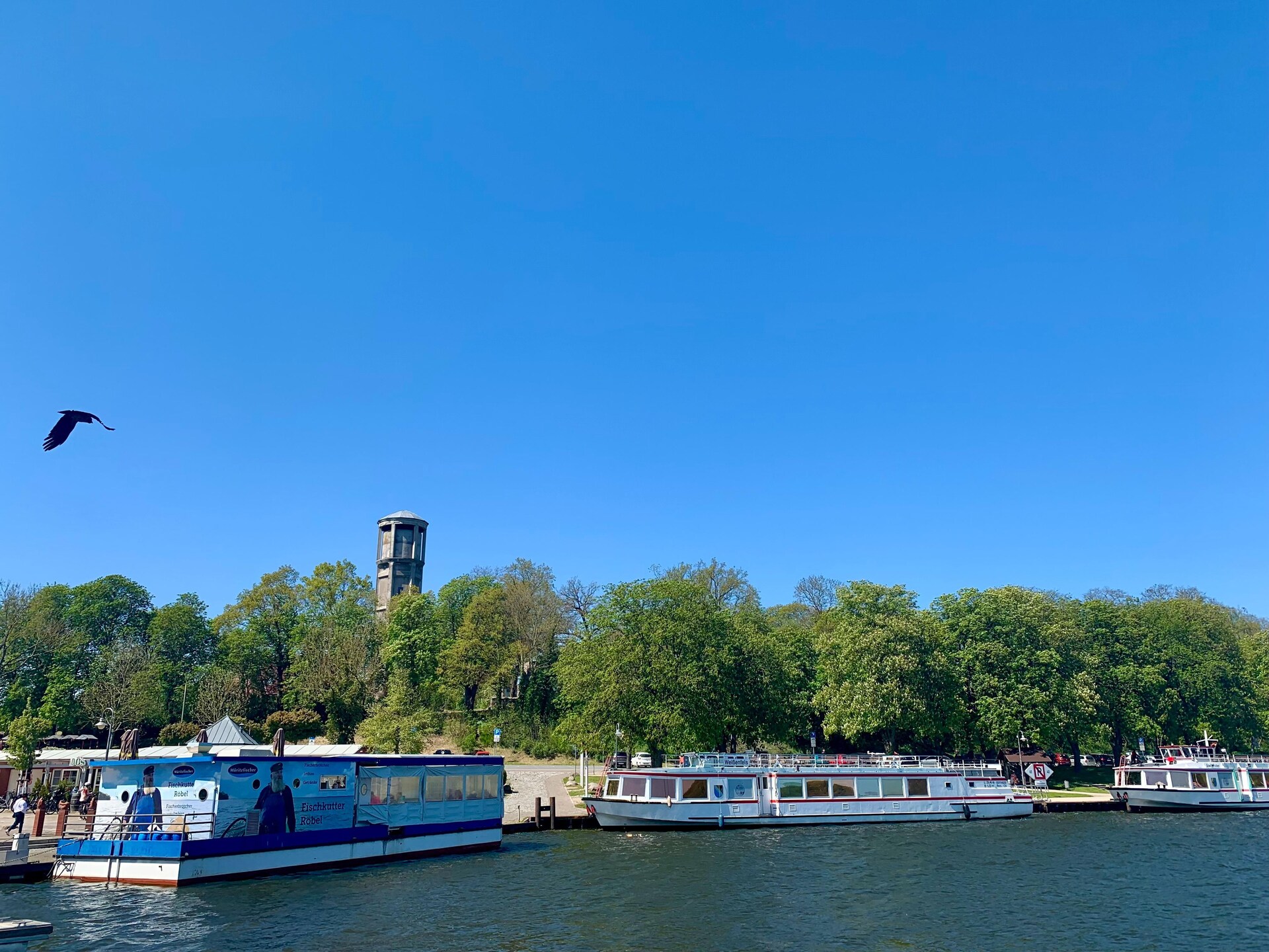 Vrijstaand vakantiehuis met sauna en roeiboot op 250 meter van de Müritz - foto 23
