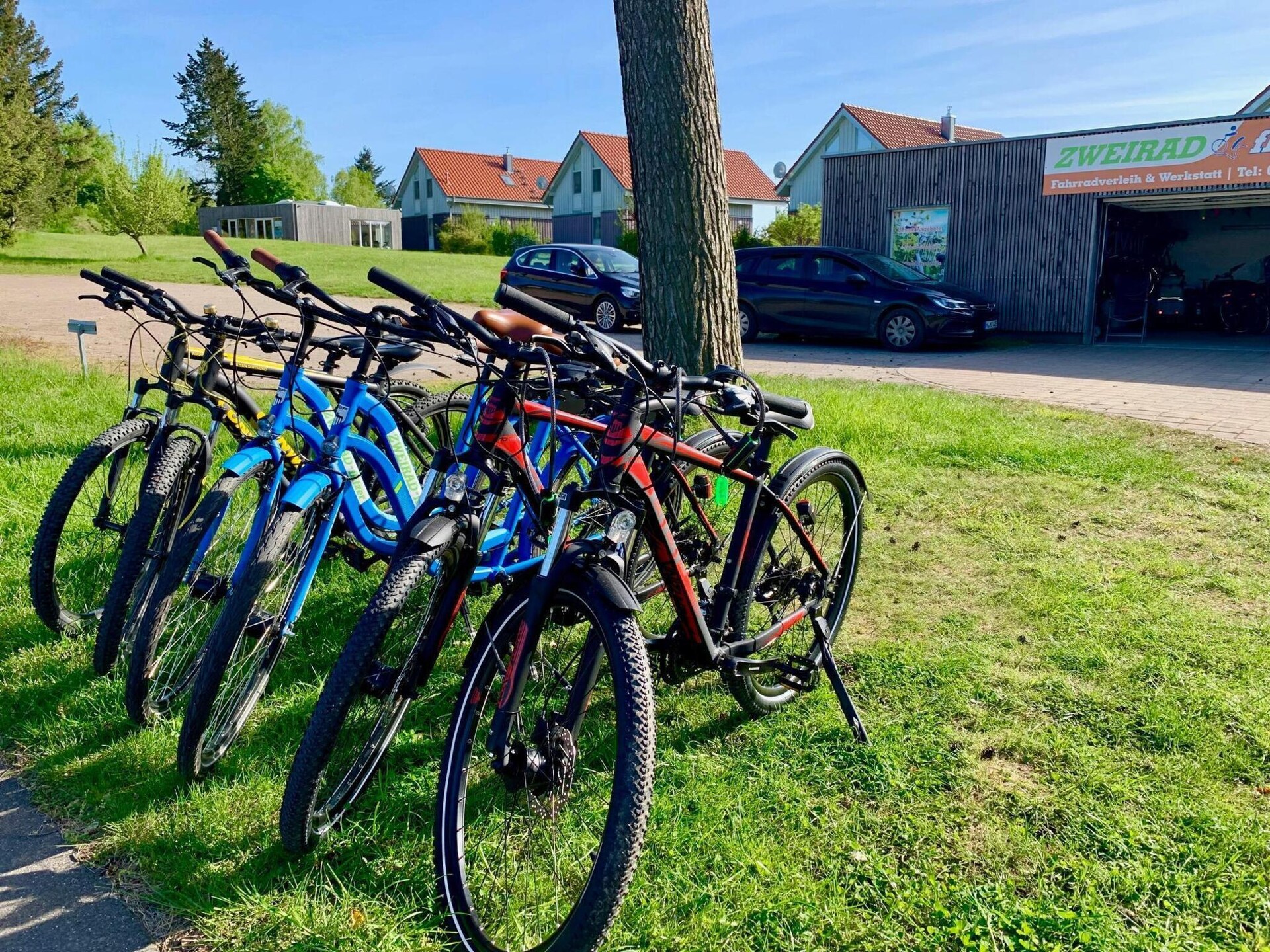 Vrijstaand vakantiehuis met sauna en roeiboot op 250 meter van de Müritz - foto 17