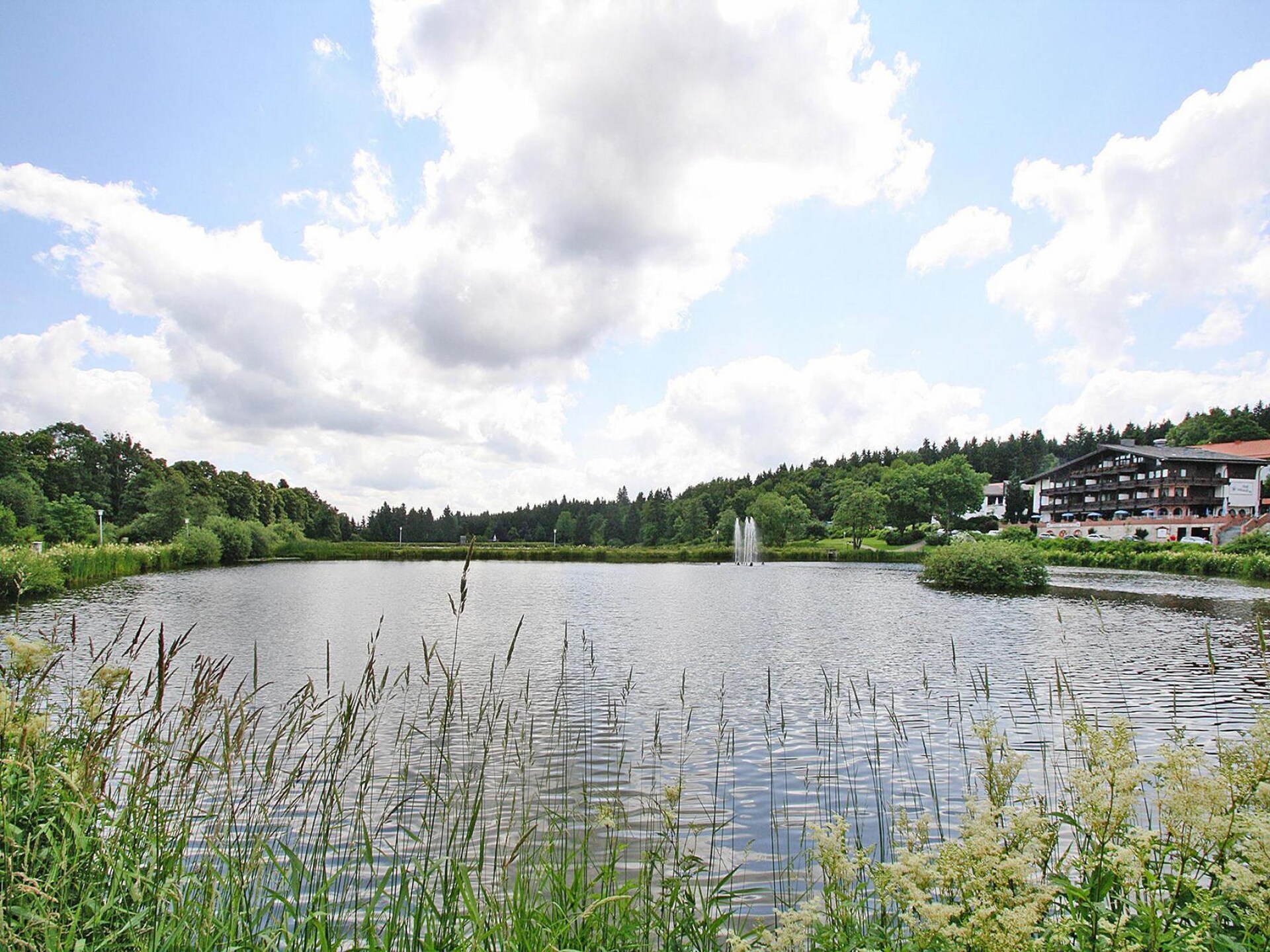 Licht appartement met balkon en uitzicht, 200m van het meer in Hahnenklee - foto 21