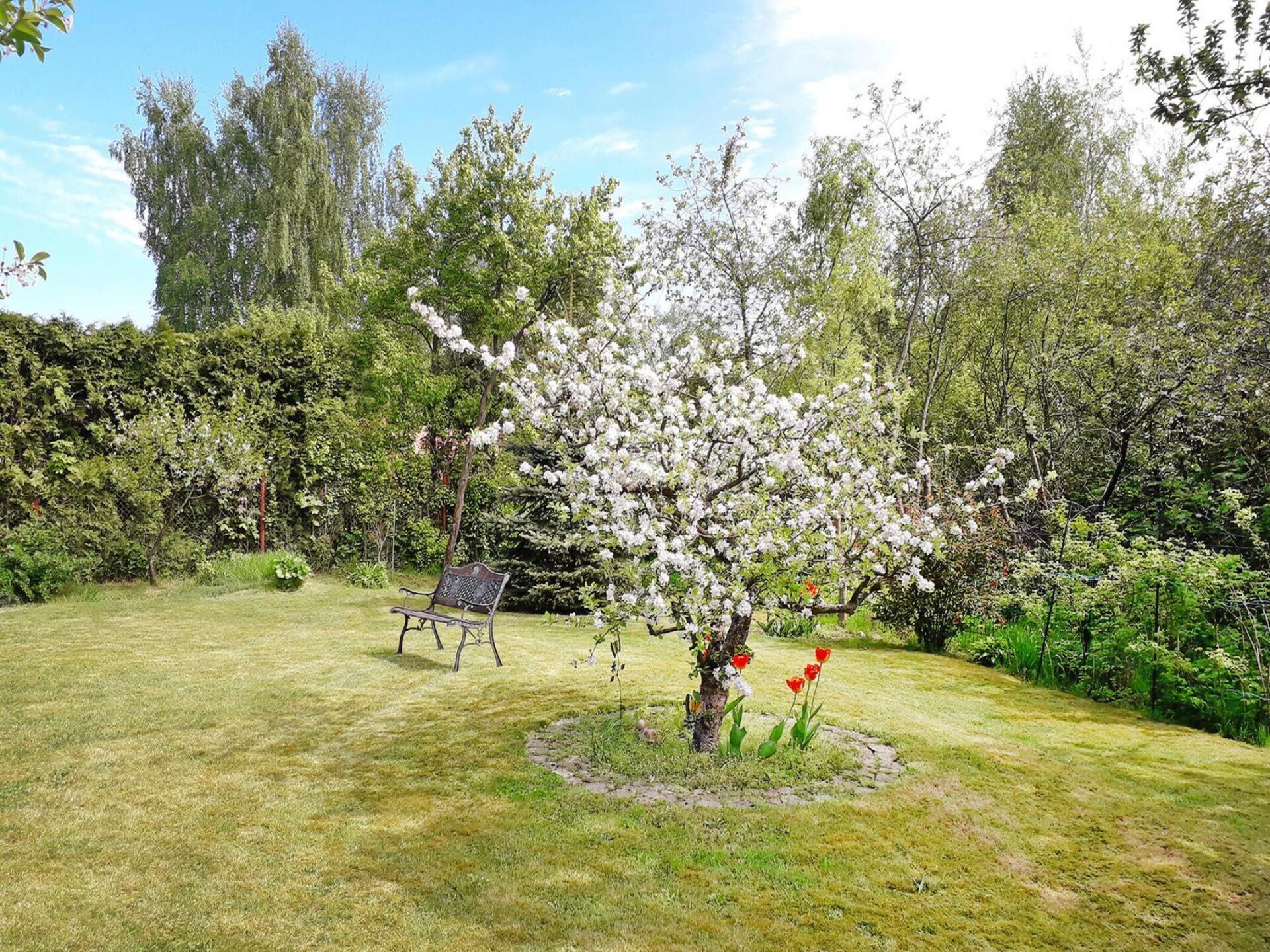 Knus vakwerkappartement op 300 meter van het meer in eilandstad Malchow - foto 9