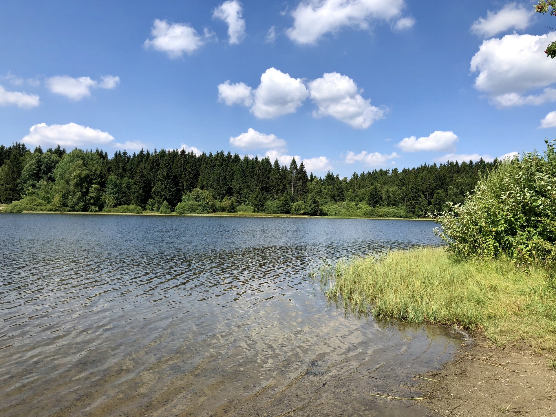 Vrijstaand Nurdachhaus aan het meer in Clausthal-Zellerfeld – 4 personen - foto 17