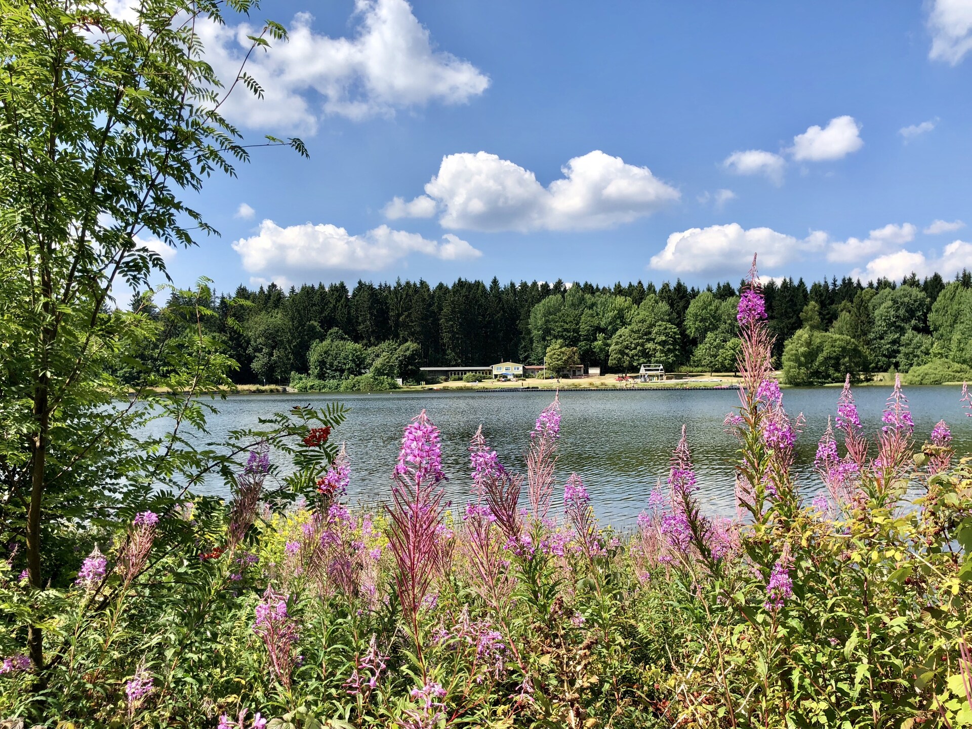 Vrijstaand Nurdachhaus aan het meer in Clausthal-Zellerfeld – 4 personen - foto 18