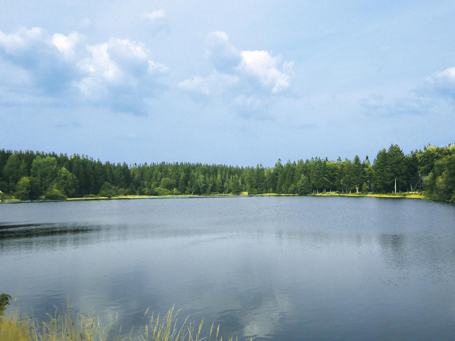 4-persoons vakantiehuis aan het meer in Clausthal-Zellerfeld - foto 33