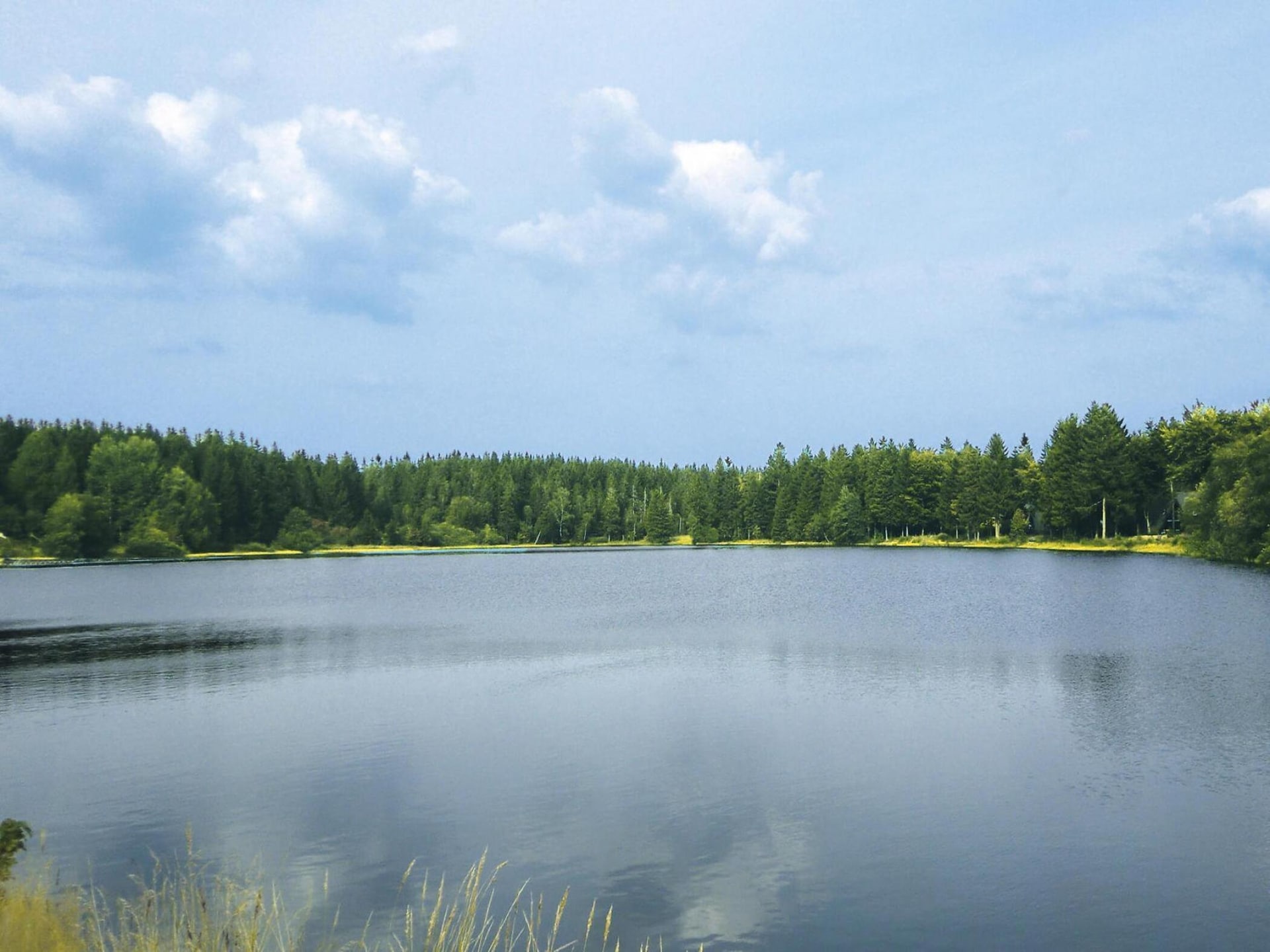 Aan het meer: Rustgevend vakantiehuis in Clausthal-Zellerfeld · 5 pers. - foto 17