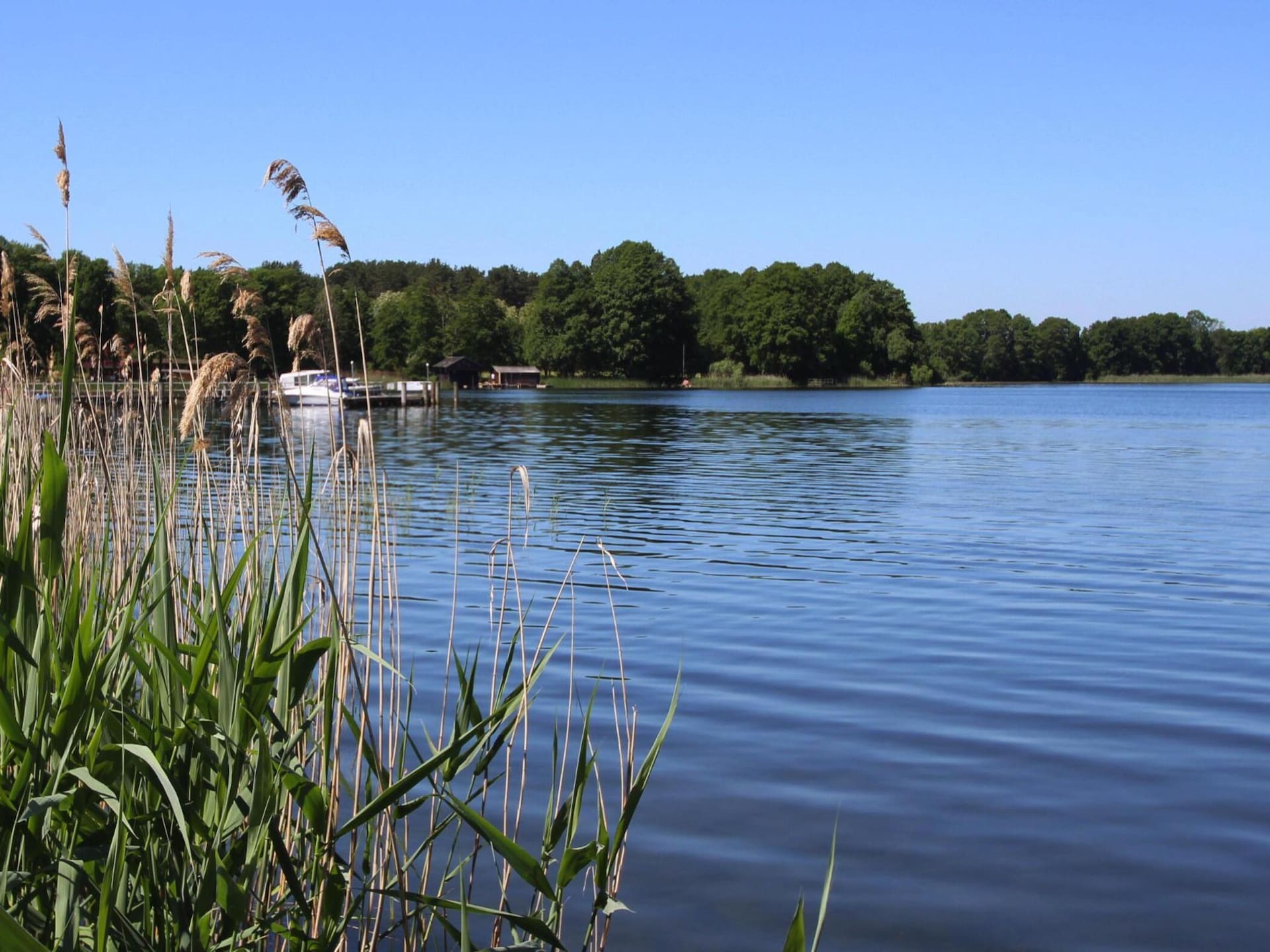 Aan het meer: Rustgevend vakantiehuis in Clausthal-Zellerfeld · 5 pers. - foto 19