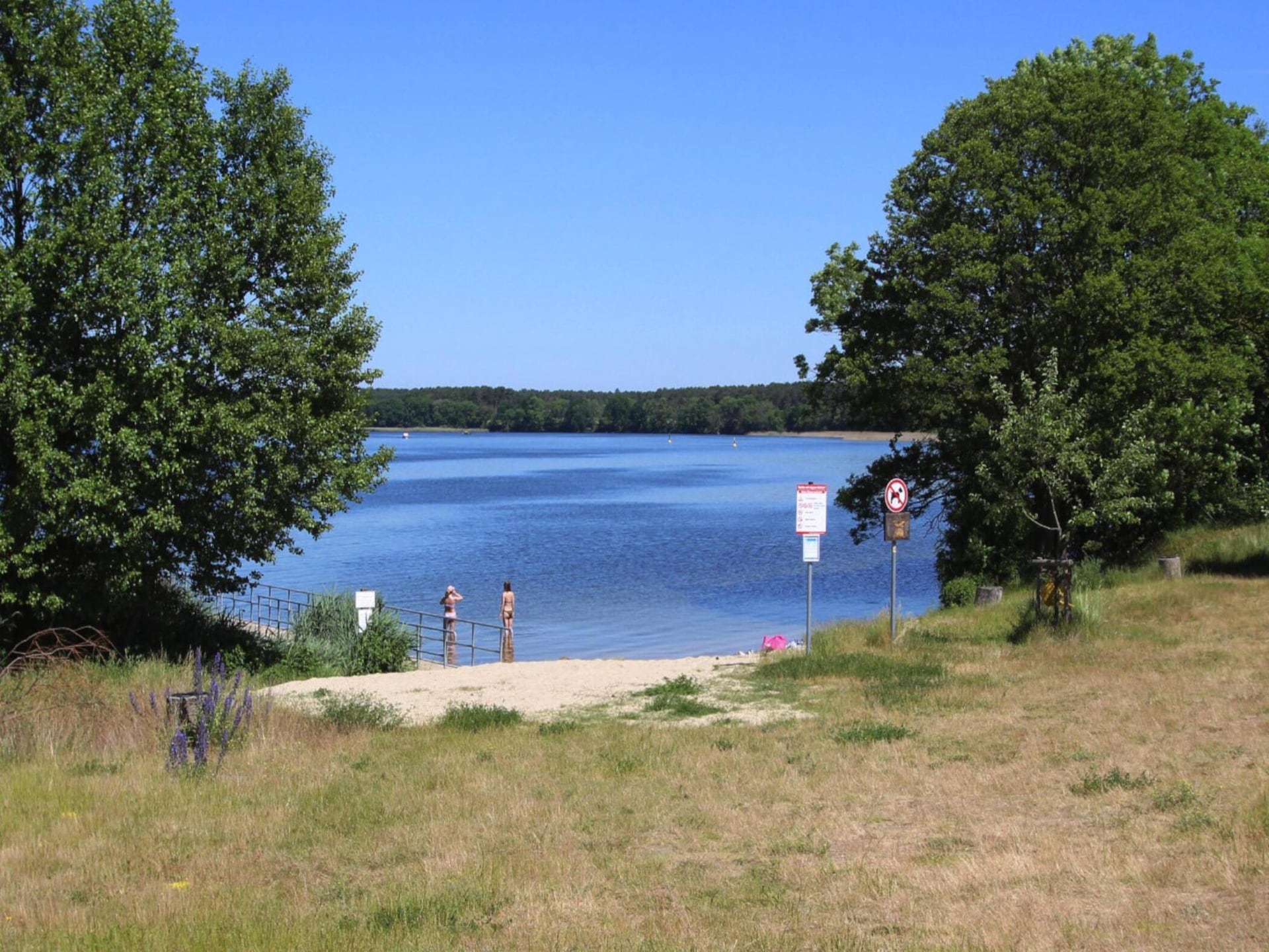 Aan het meer: Rustgevend vakantiehuis in Clausthal-Zellerfeld · 5 pers. - foto 7