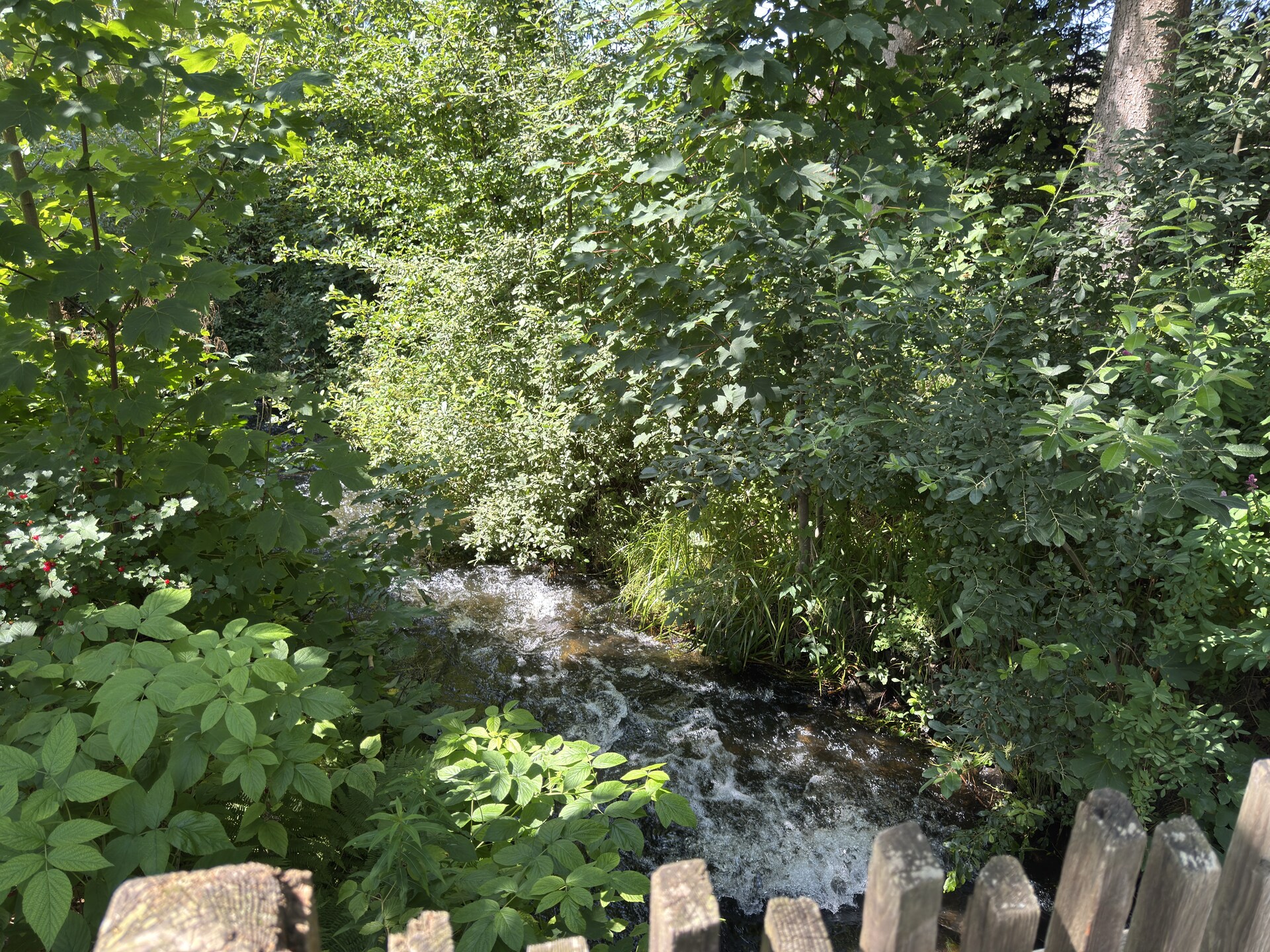 Groepshuis voormalige gelddrukkerij aan de Innerste voor 20 personen in de Harz - foto 41