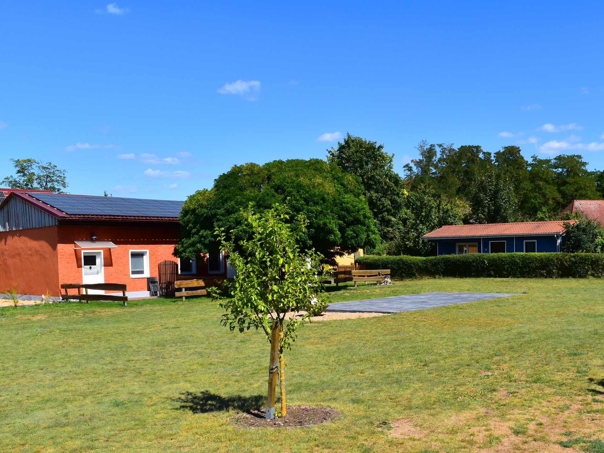 Op 300 m van het meer: Knus appartement Relax DZ Ap5 in Mirow - foto 31