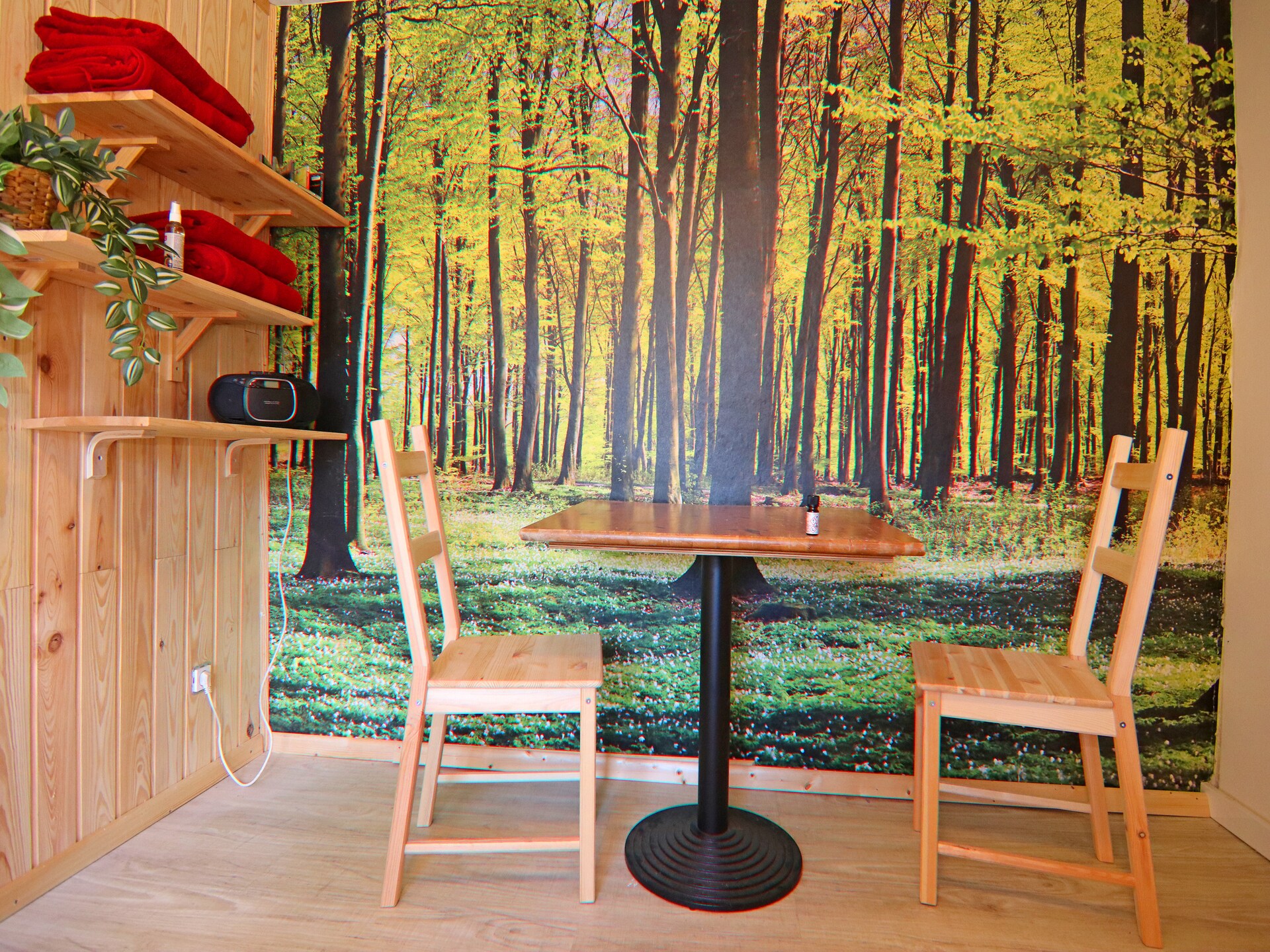 Op 300 m van het meer: Knus appartement Relax DZ Ap5 in Mirow - foto 46