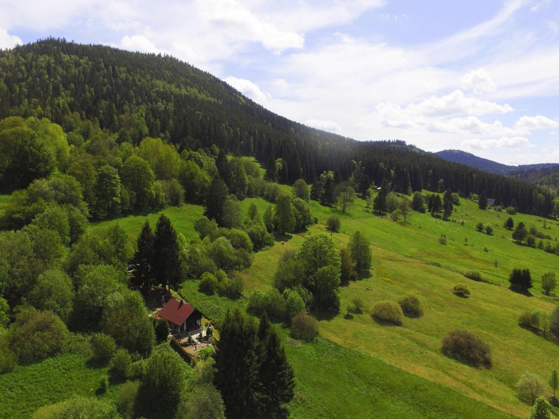 Vrijstaand vakantiehuis met bergzicht in Oberschönau, Thüringer Woud - foto 38
