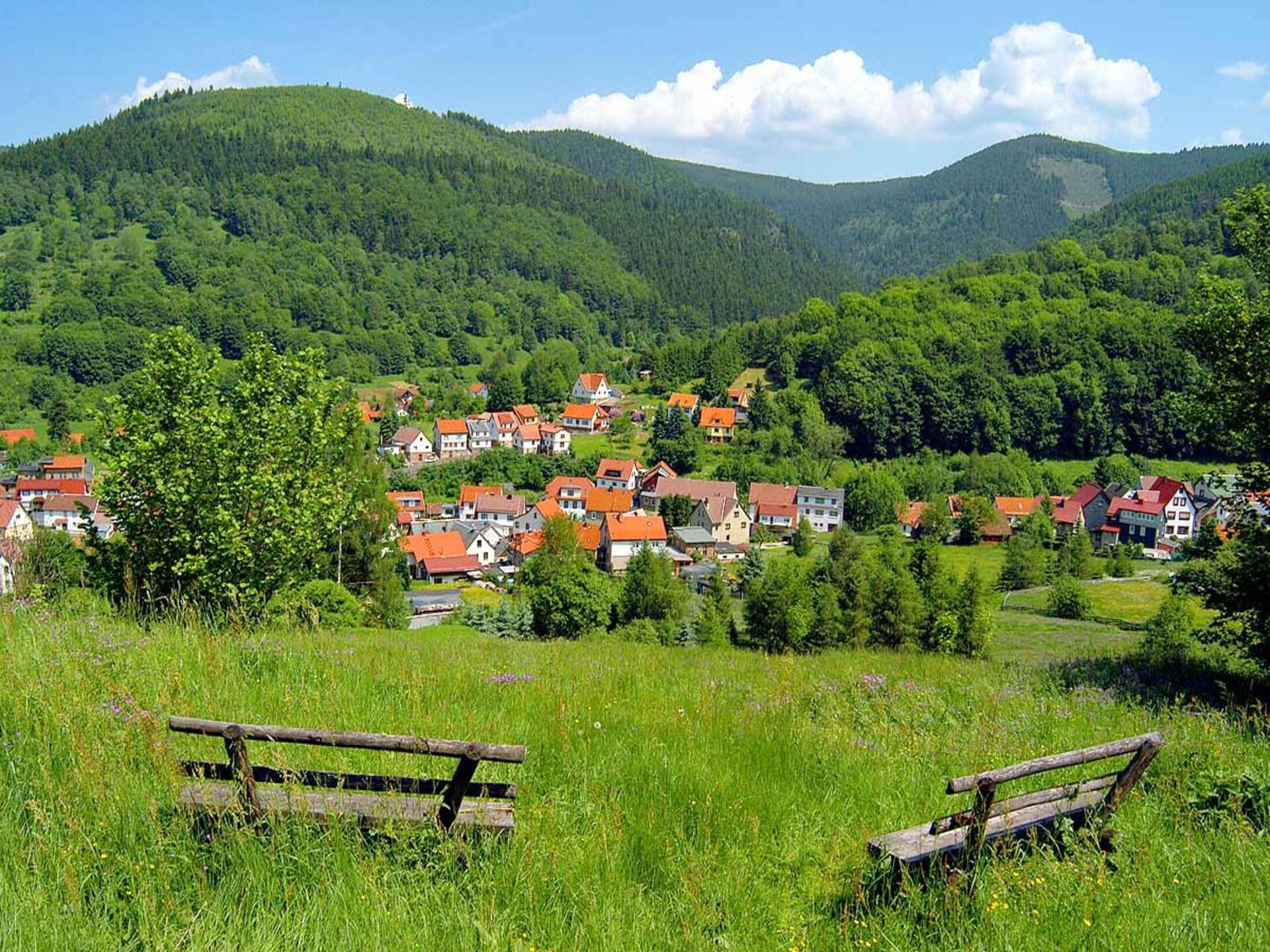 Vrijstaand vakantiehuis met bergzicht in Oberschönau, Thüringer Woud - foto 42