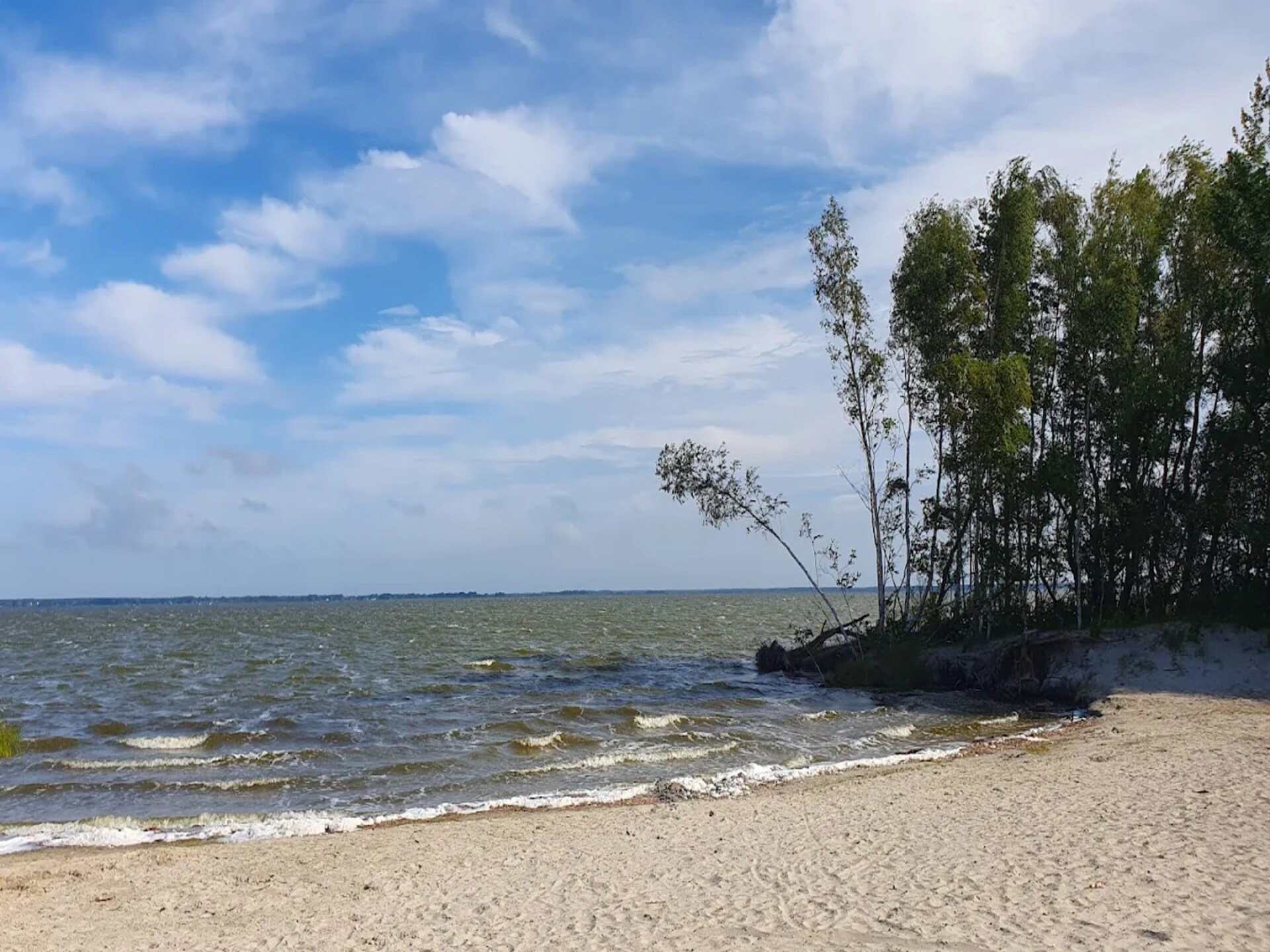 Aan het meer: Luxe rietgedekt vakantiehuis in Fuhlendorf - foto 30