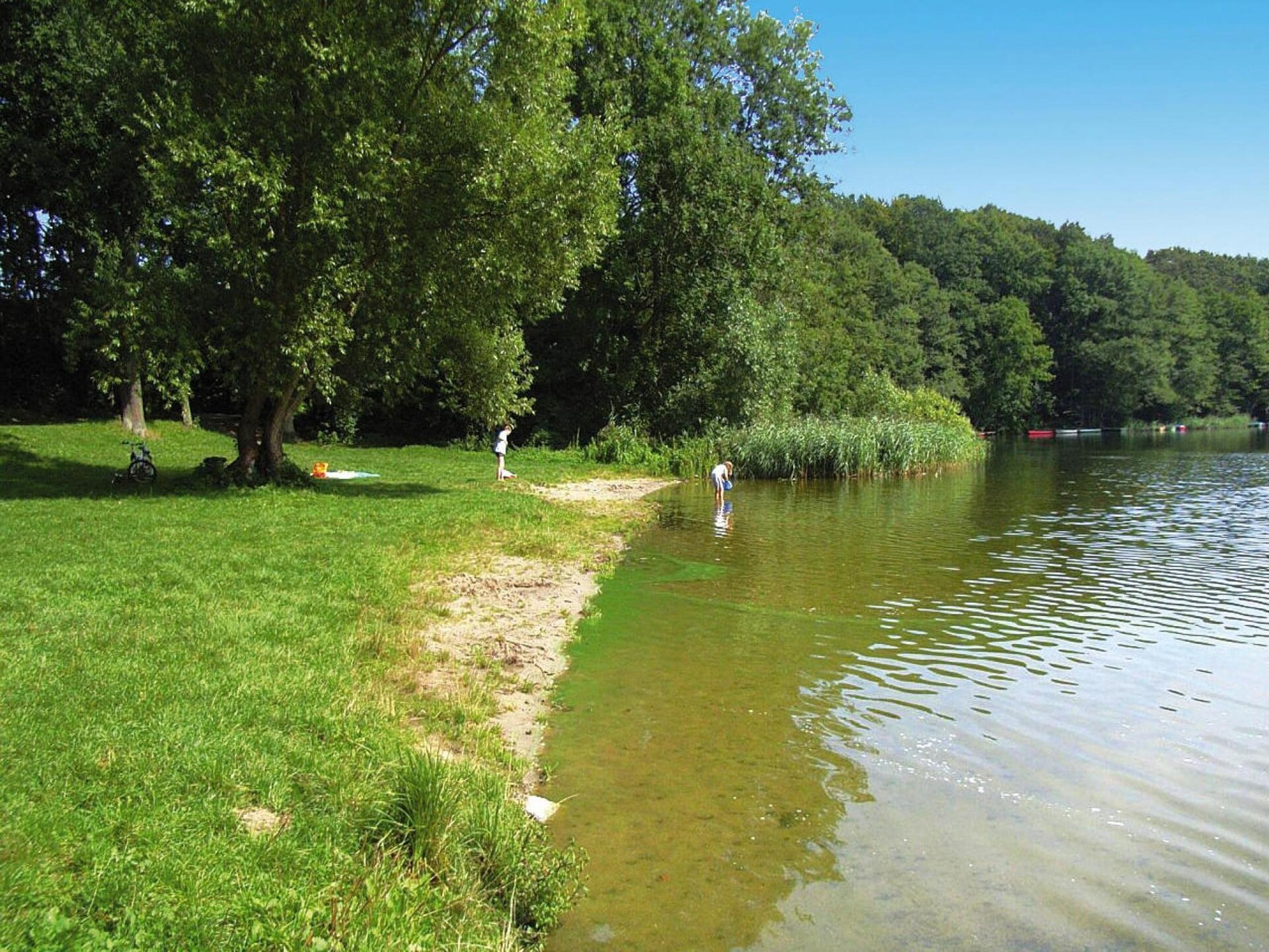 Vrijstaand vakantiehuis met roeiboot op 100m van de Dümmer See - foto 11