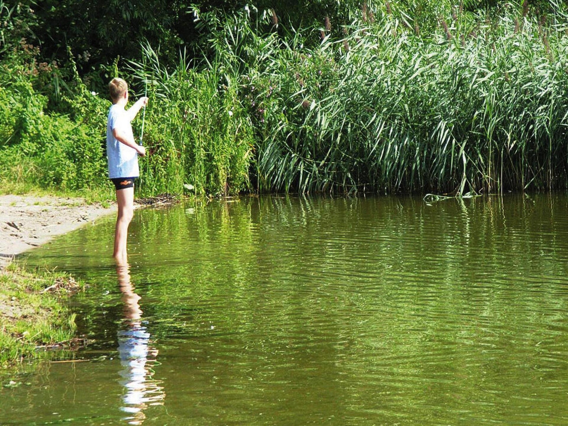 Vrijstaand vakantiehuis met roeiboot op 100m van de Dümmer See - foto 12