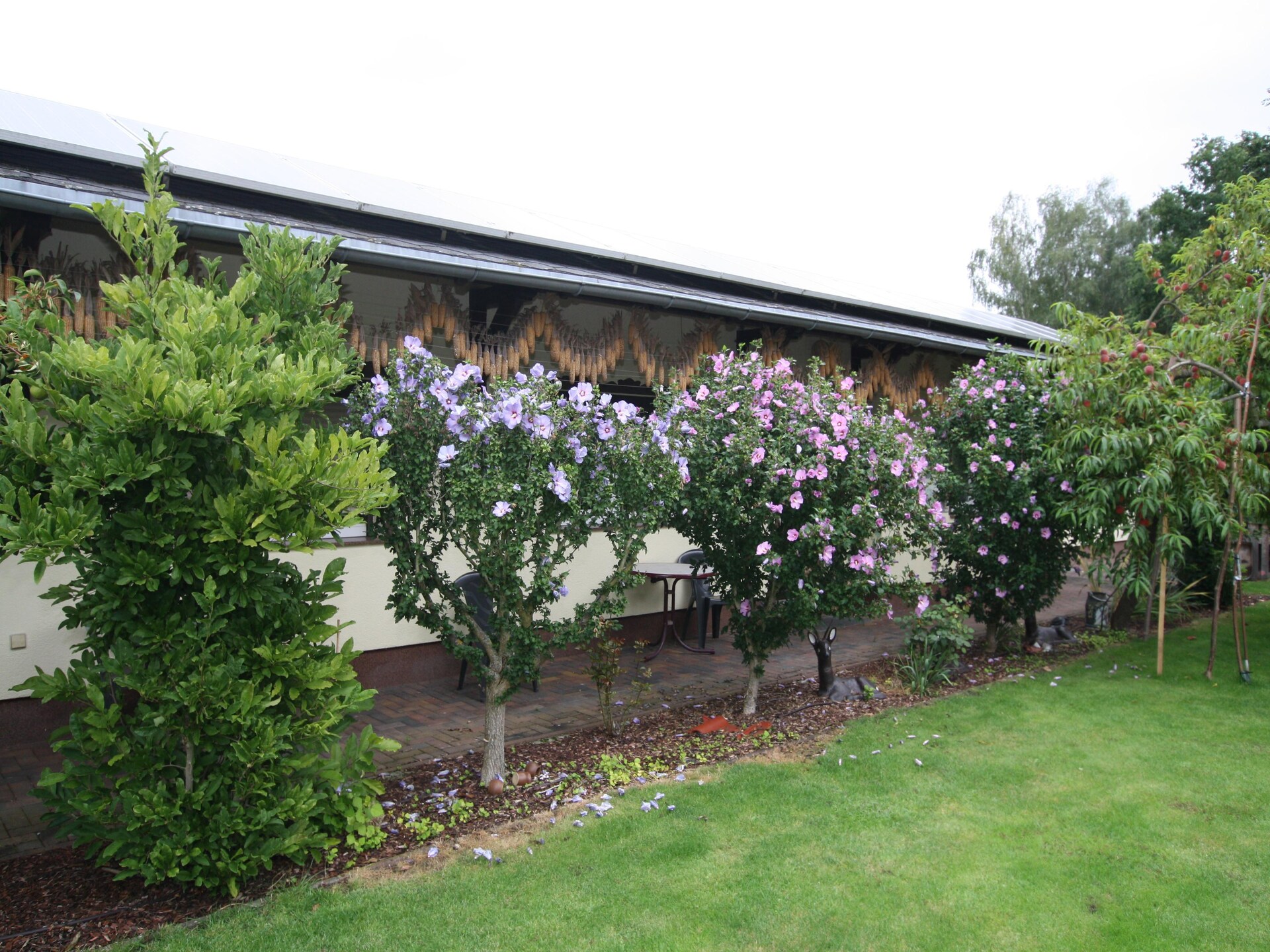 Sfeervolle bungalow aan de Berste in Lübben - foto 18