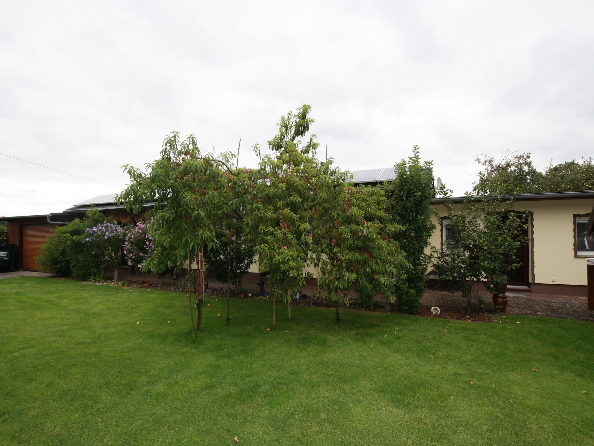 Sfeervolle bungalow aan de Berste in Lübben - foto 19