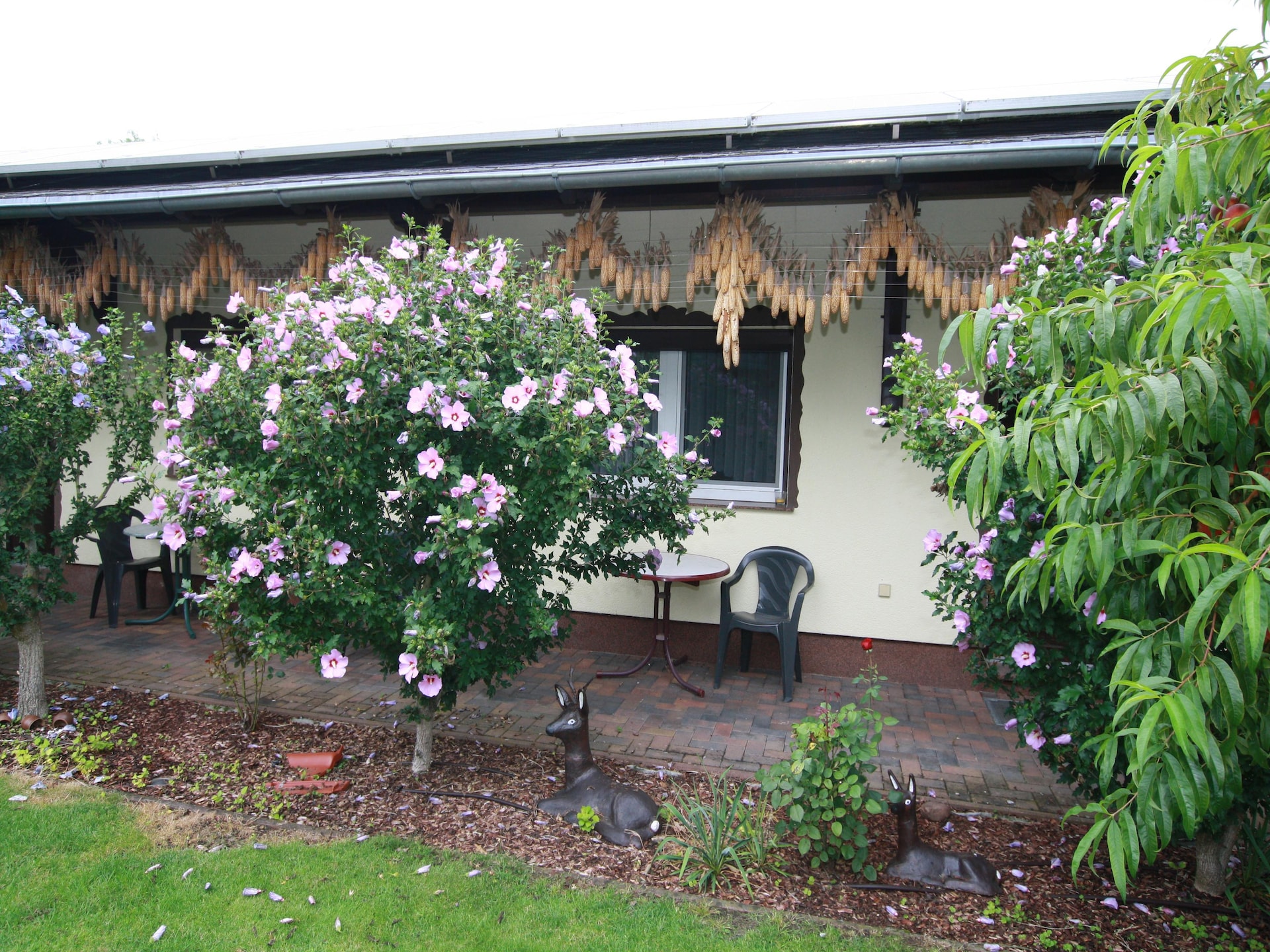 Sfeervolle bungalow aan de Berste in Lübben - foto 13