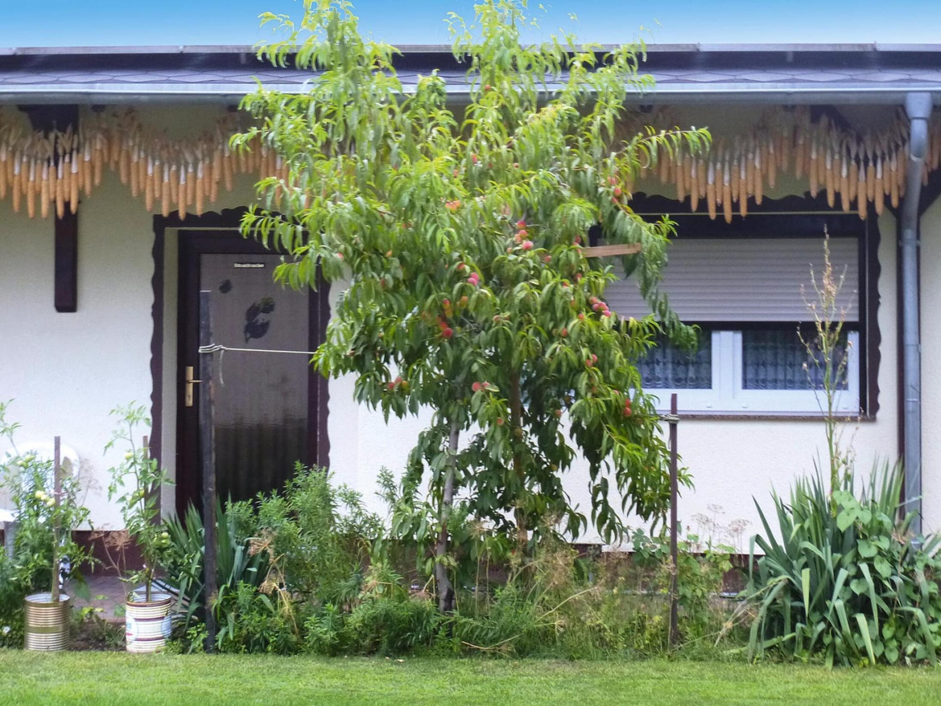 Sfeervolle bungalow aan de Berste in Lübben · 4 pers. - foto 6