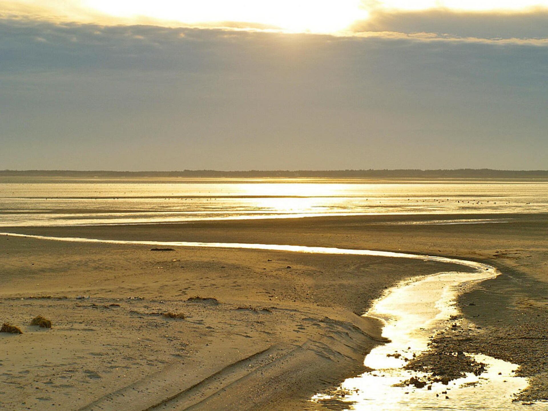 2-persoons appartement op 350m van de zee in Wyk auf Föhr - foto 18