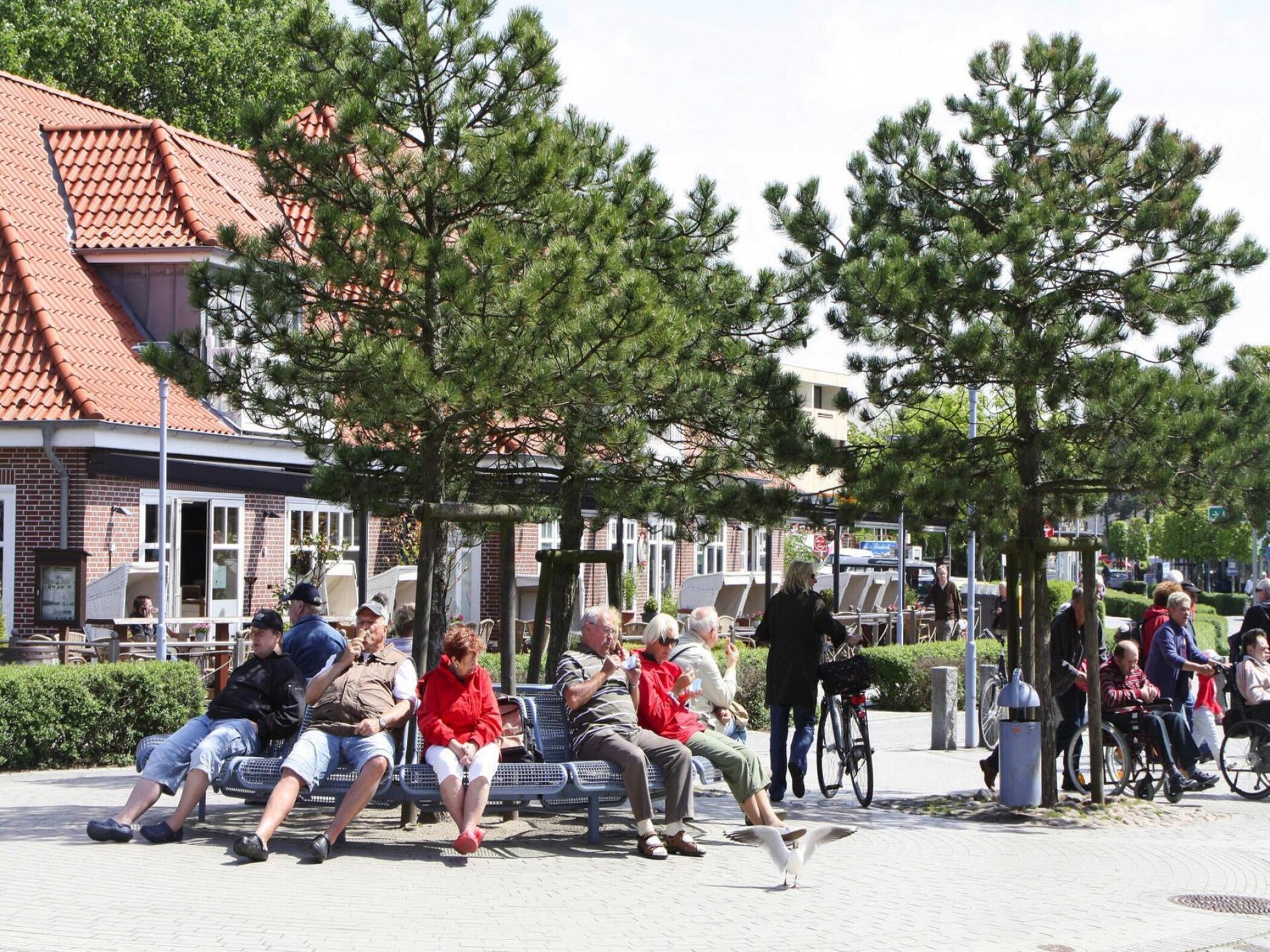 Op 700 m van zee: Gezellig appartement in St. Peter-Ording - foto 21