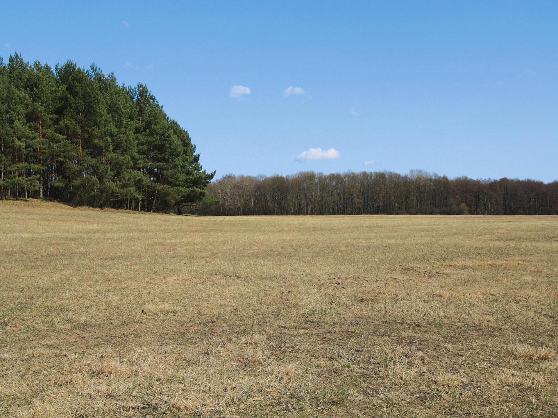 Vakantieappartement aan privémeer in Mecklenburgse merengebied - foto 12