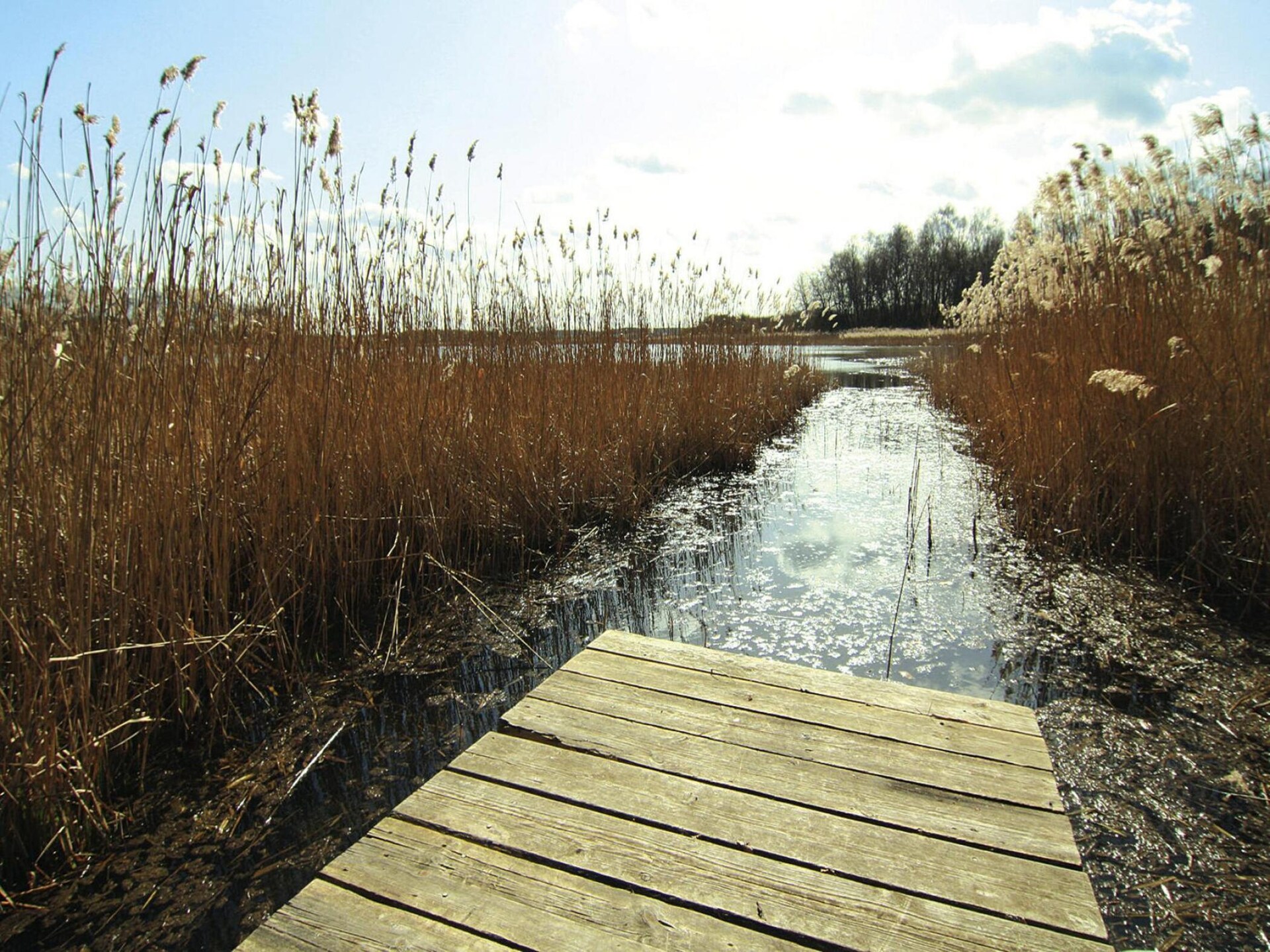 Vakantieappartement aan privémeer in Mecklenburgse merengebied - foto 11