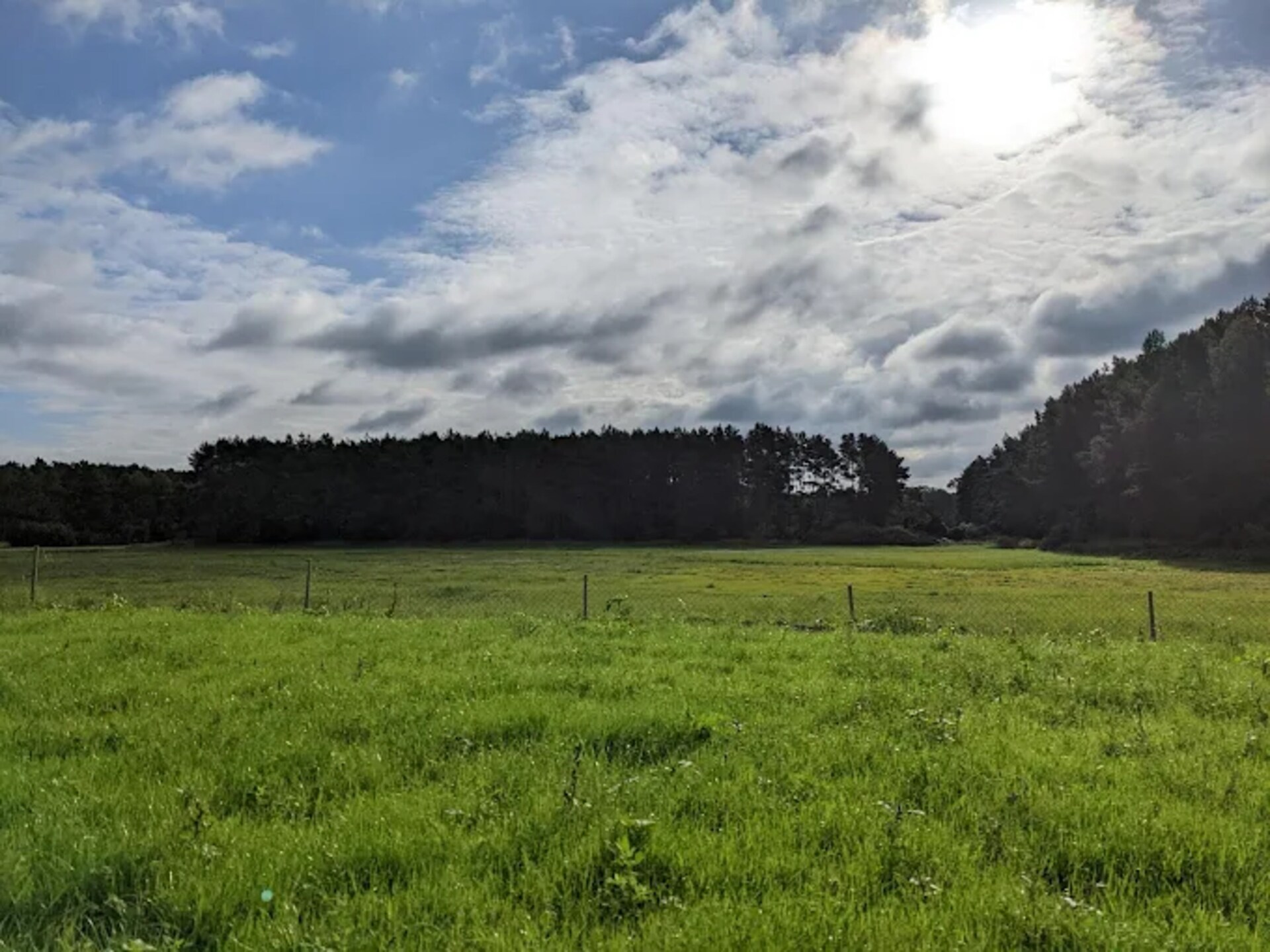 Vrijstaande bungalow voor 2 aan het meer in Dobbrikow - foto 17