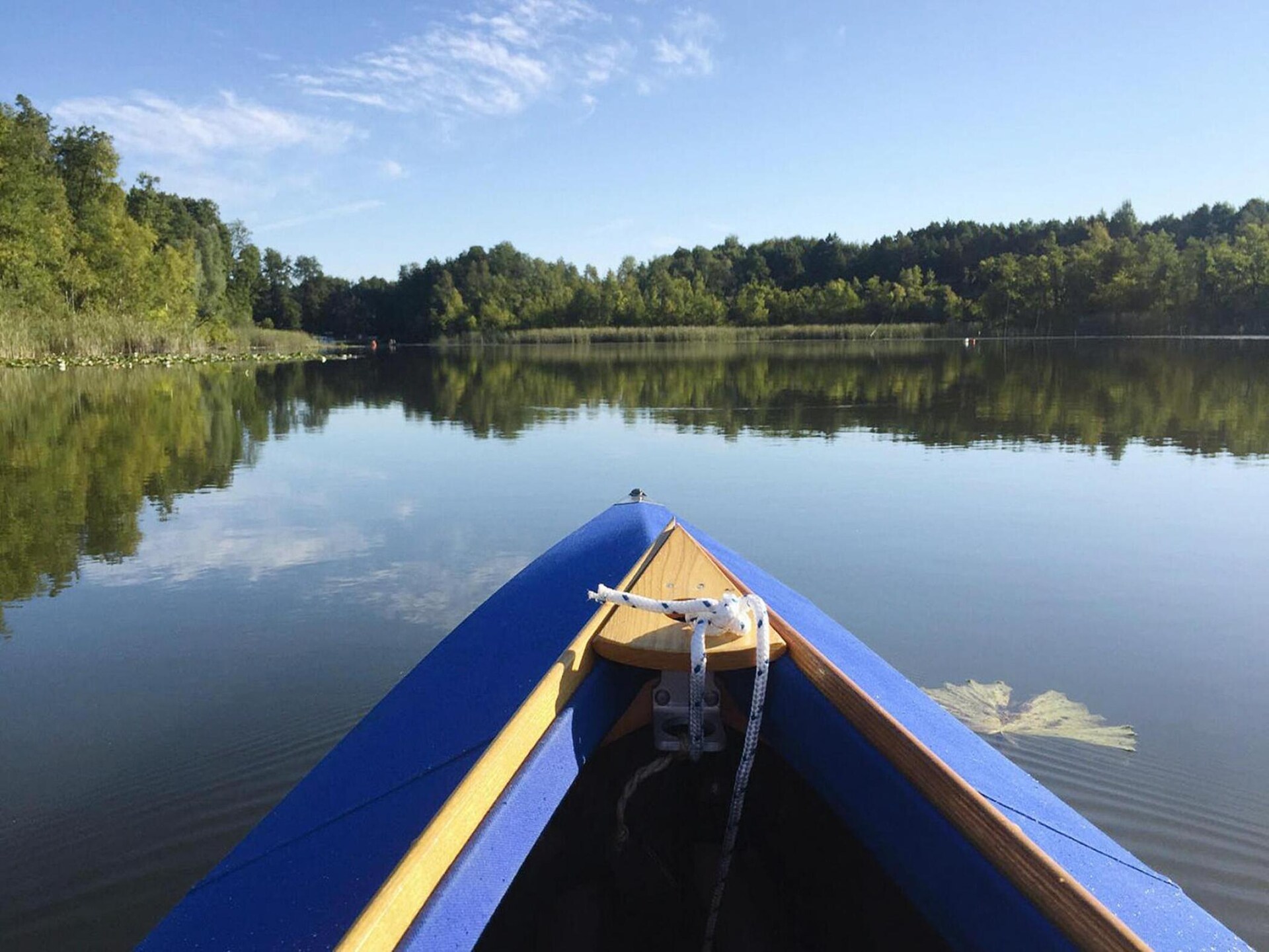 Licht vakantiehuis met open haard, 200m van de Vilzsee bij Mirow - foto 13