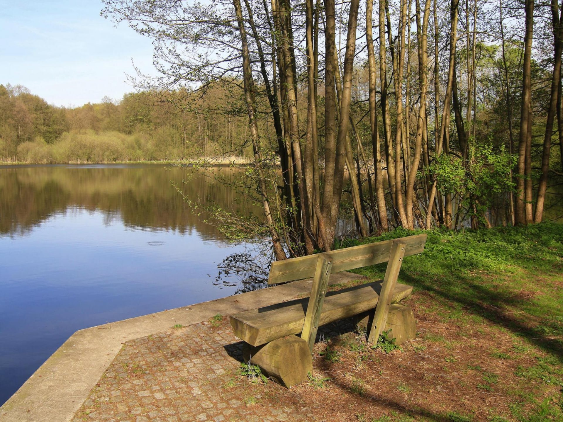 Sfeervol vakantiehuis in het idyllische Wockertal bij Parchim - foto 16