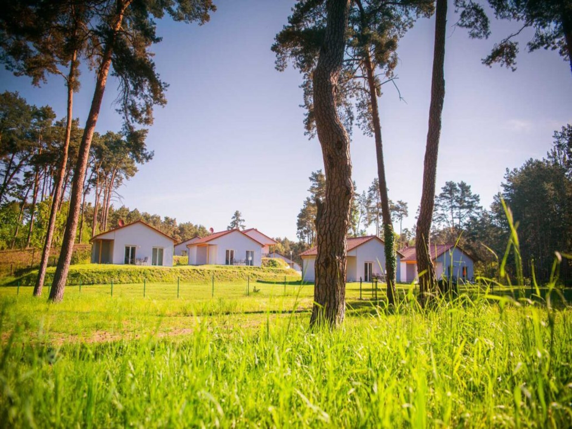 Vrijstaande bungalow aan het Storkower See met eigen tuin - foto 28