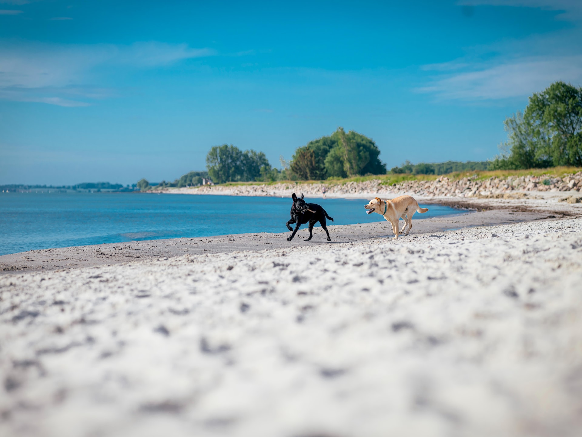 6-persoons vakantiehuis in Damp op 150 meter van het strand - foto 36