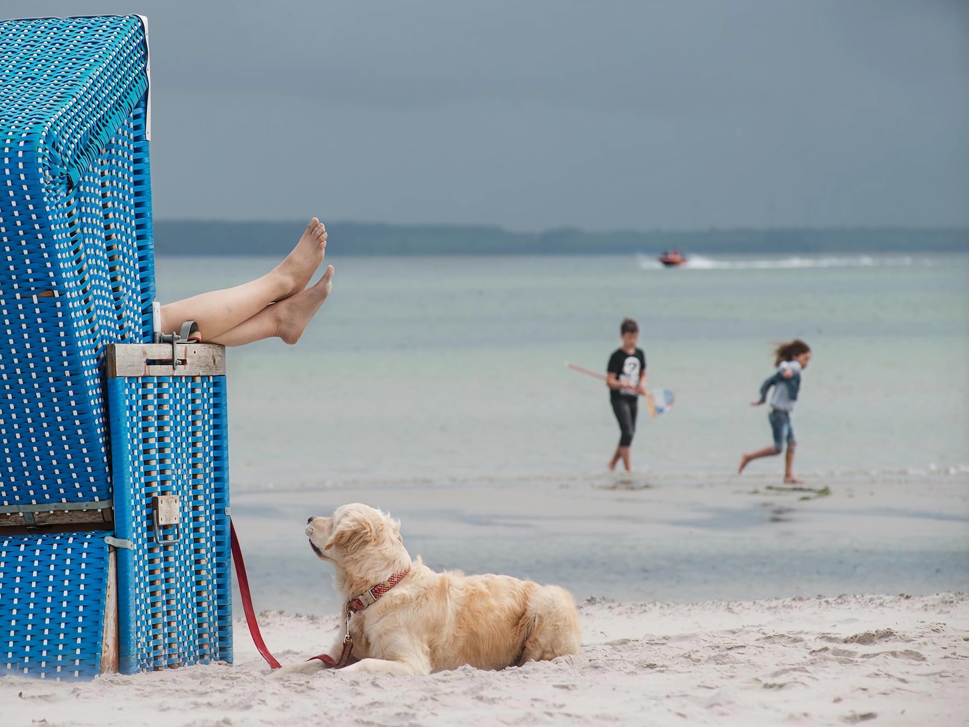 6-persoons vakantiehuis in Damp op 150 meter van het strand - foto 38